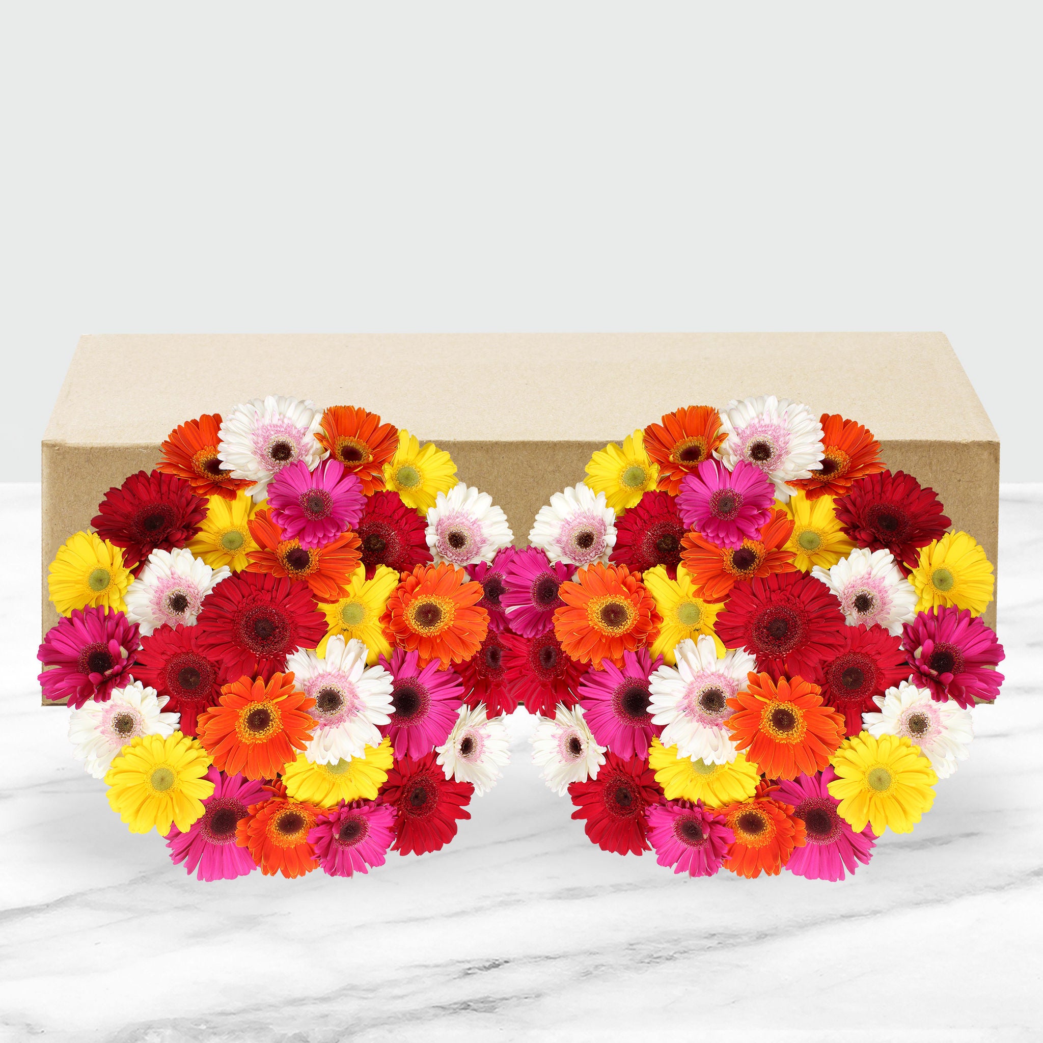 60-stem Gerberas