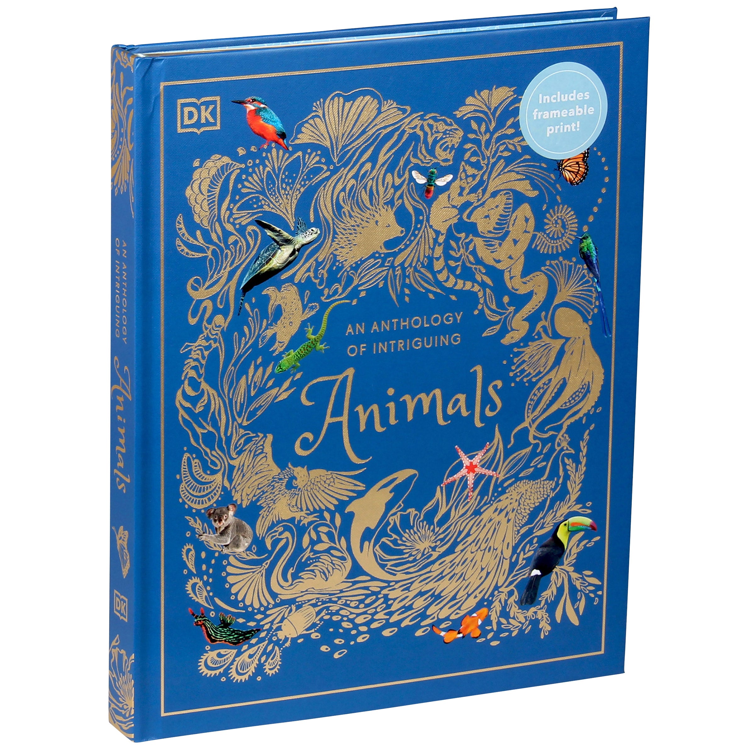 An Anthology Of Intruiging Animals