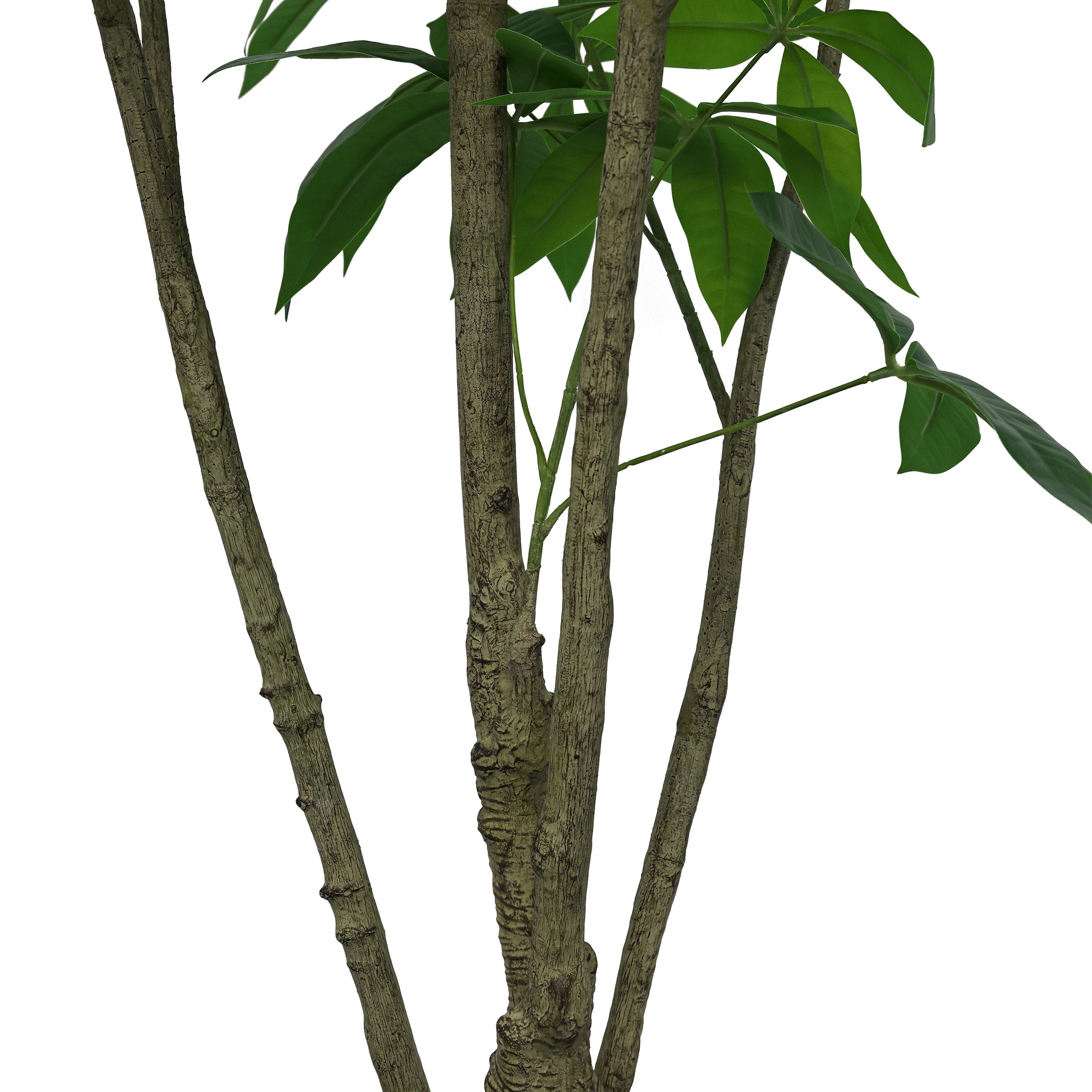 Faux 6.5' Schefflera Tree