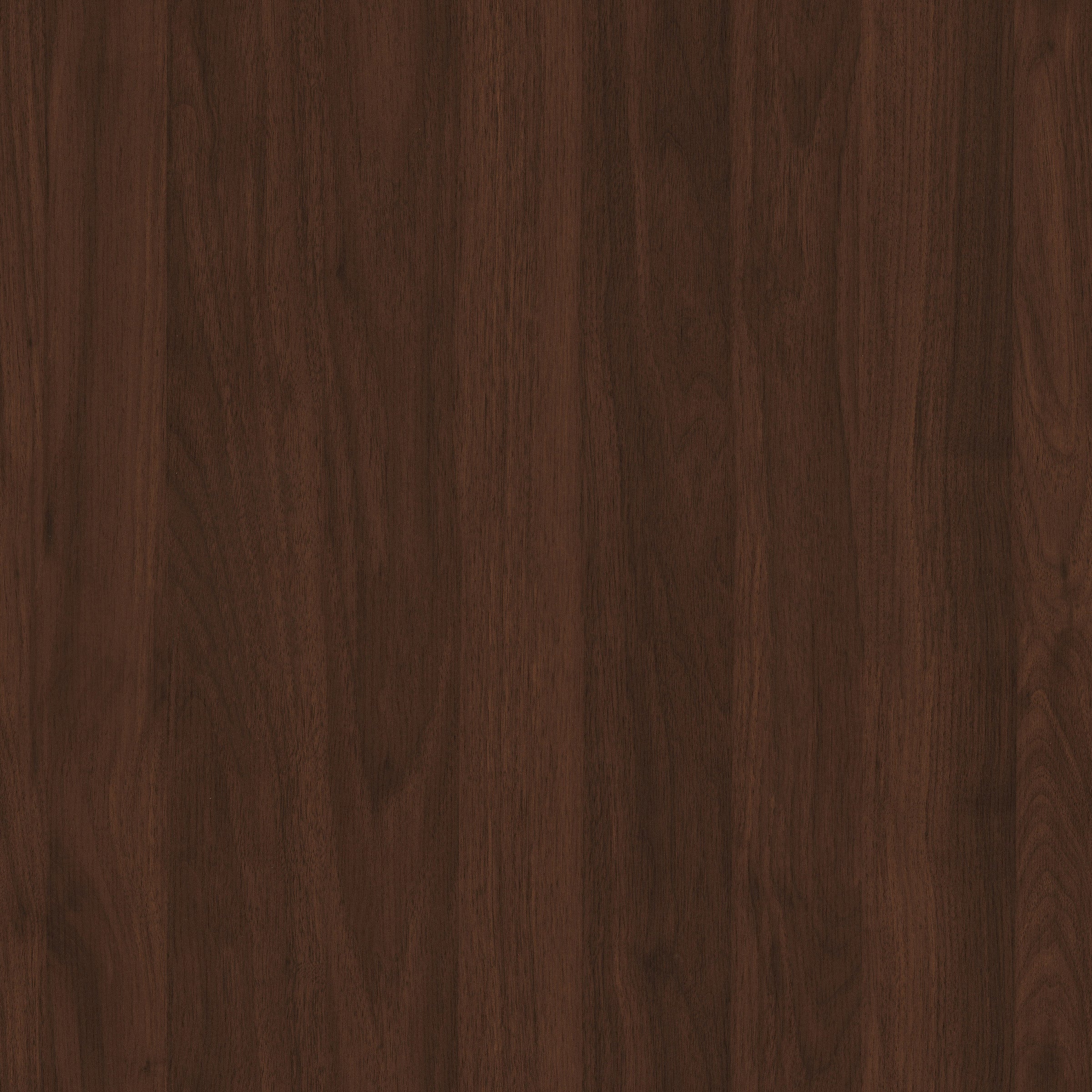 Dana Point Panel Bed Frame, Walnut Veneers