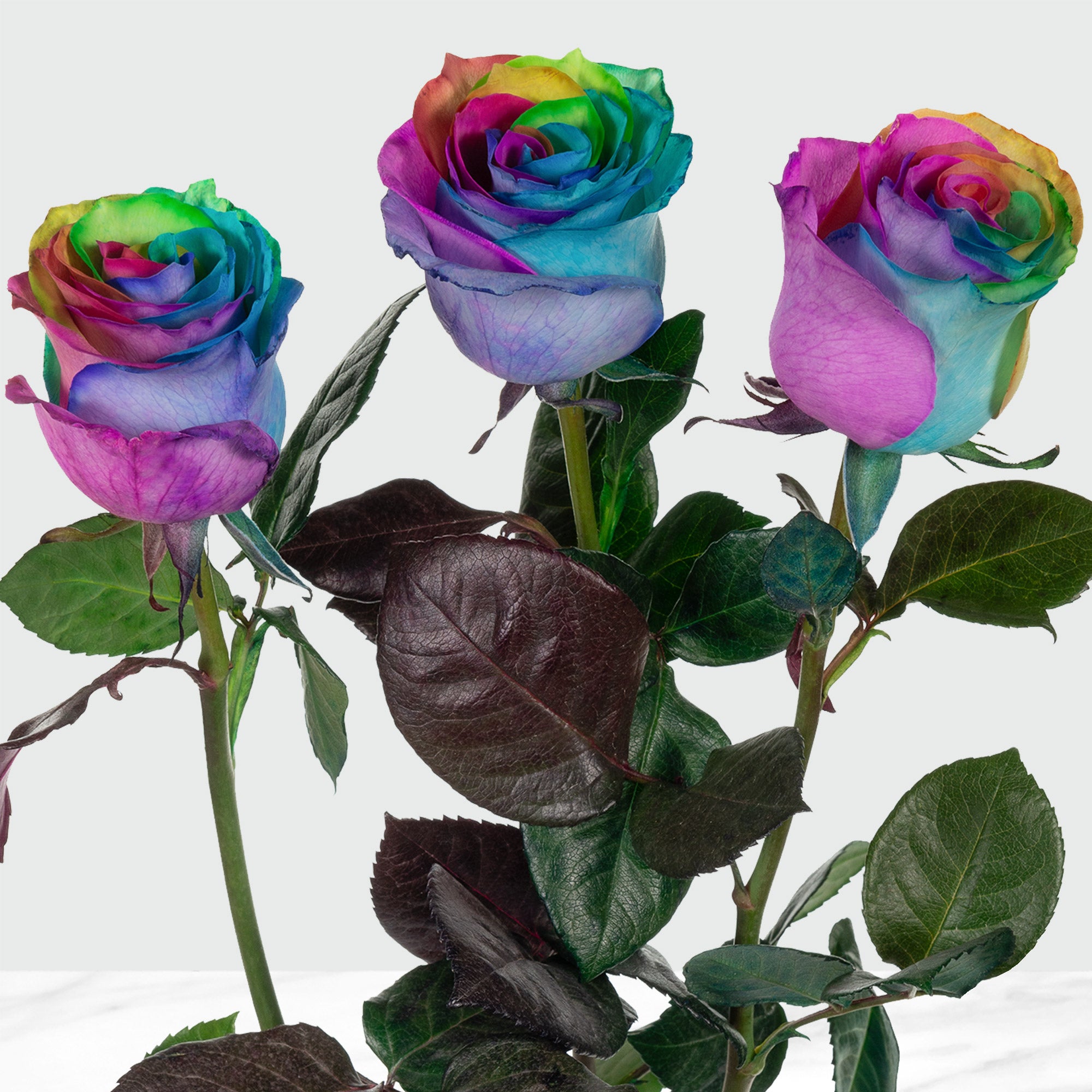 50-stem Rainbow Roses
