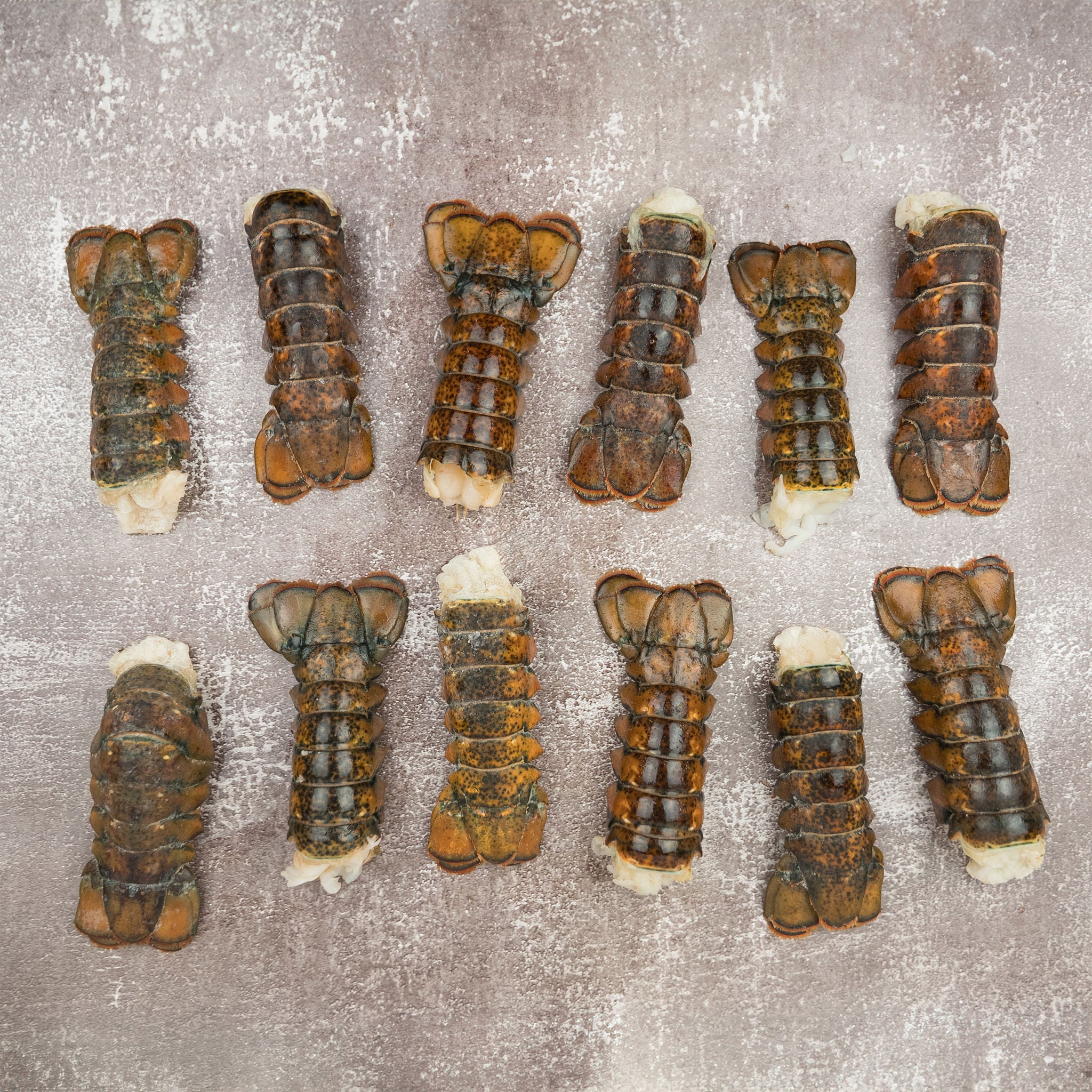 Coastal Seafood Frozen Lobster Tails 12 Count (6 - 8 oz.)