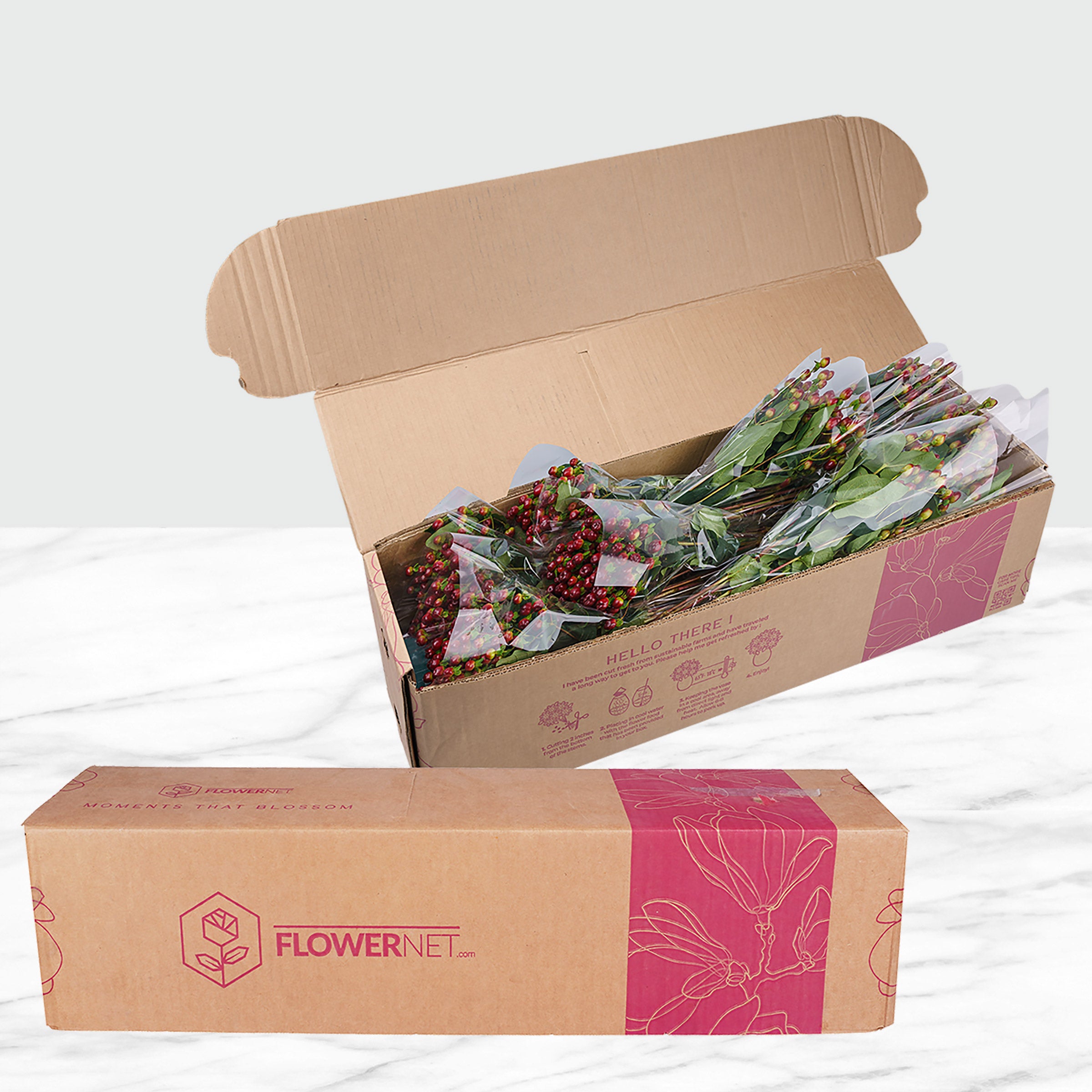 100-stems Hypericum