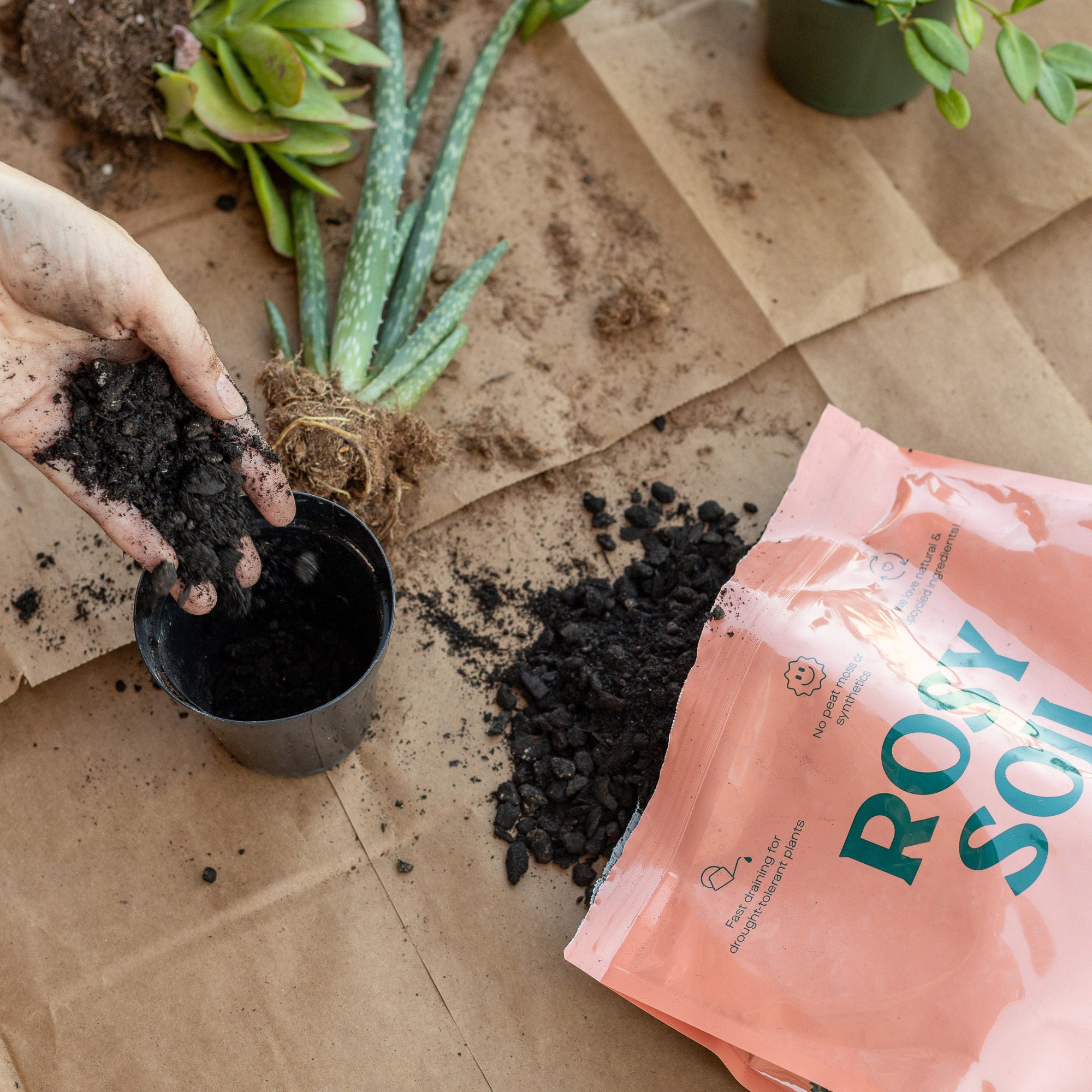 Cactus & Succulent Soil – 4 Quart 3-pack