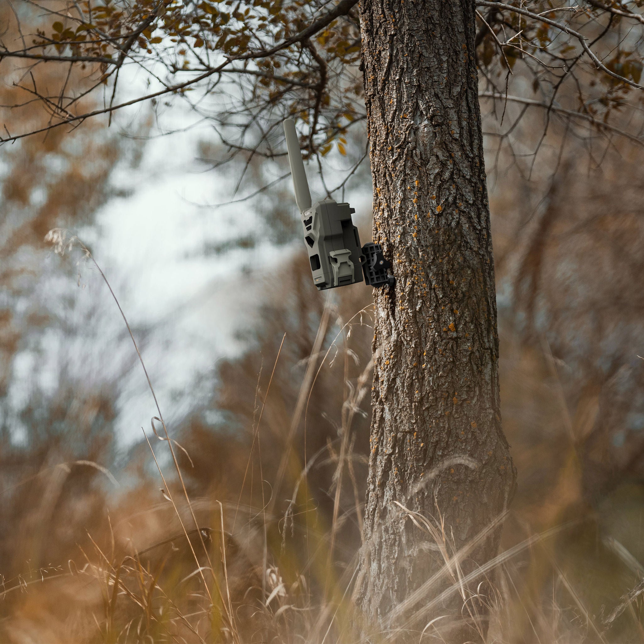 SPYPOINT FLEX G36-PRO Series Cellular Trail Camera Bundle
