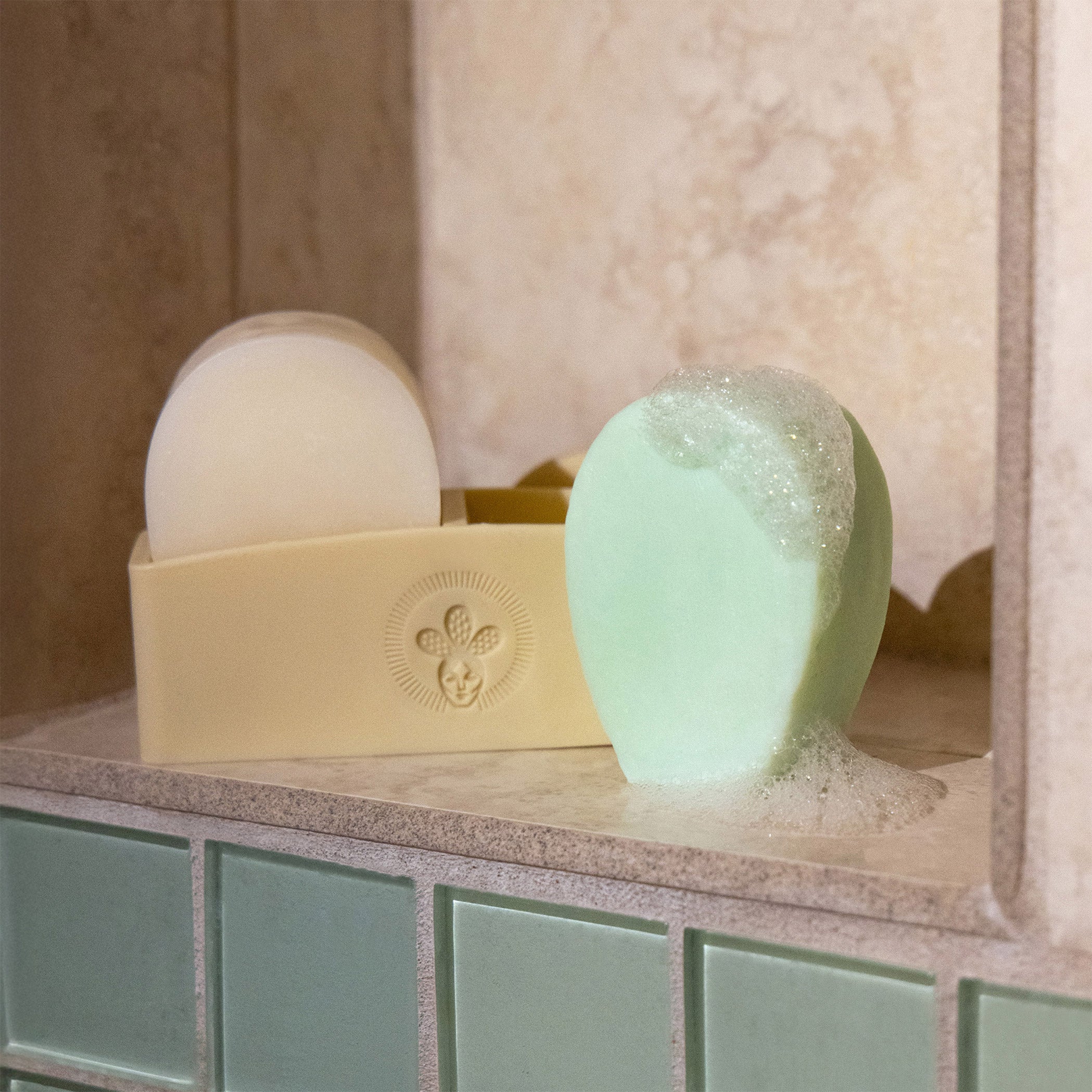 Nopalera Solid Shampoo and Conditioner Starter Set