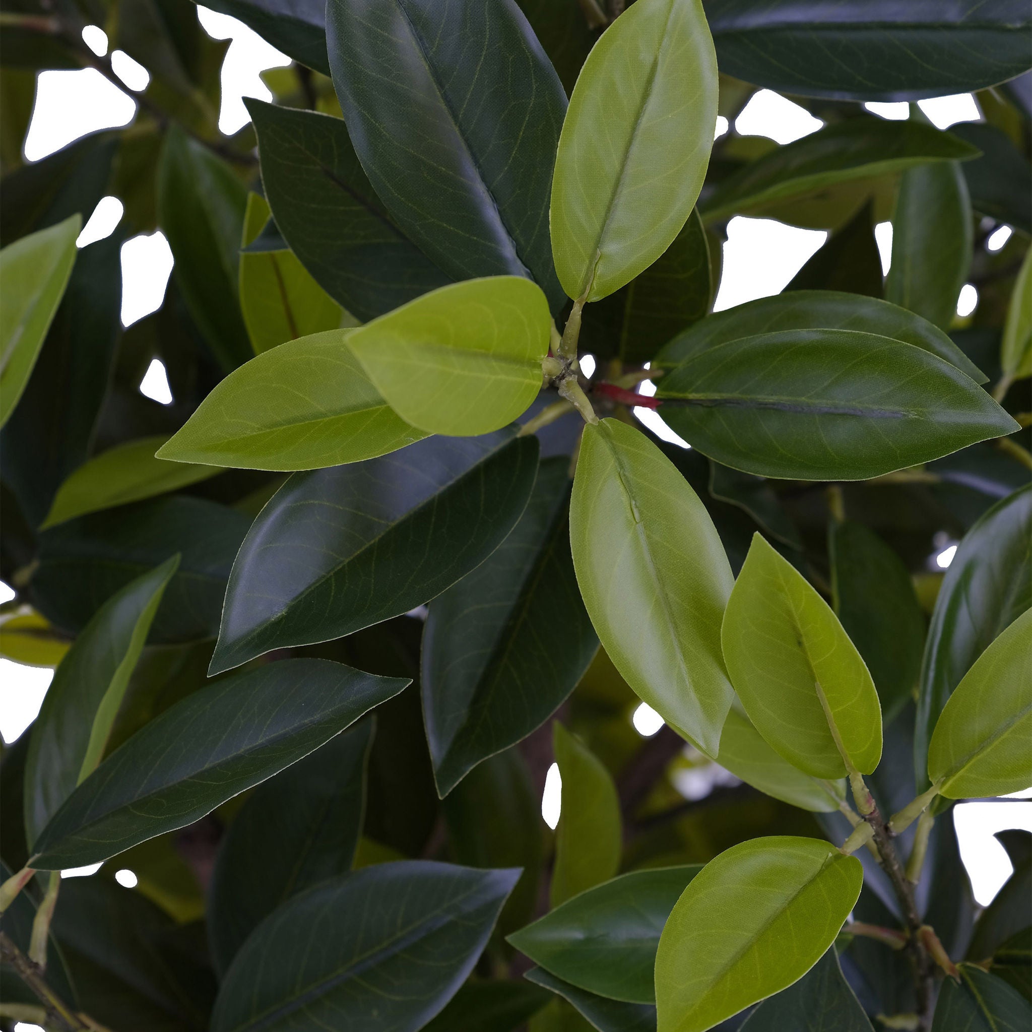 Faux 6' Laurel Tree