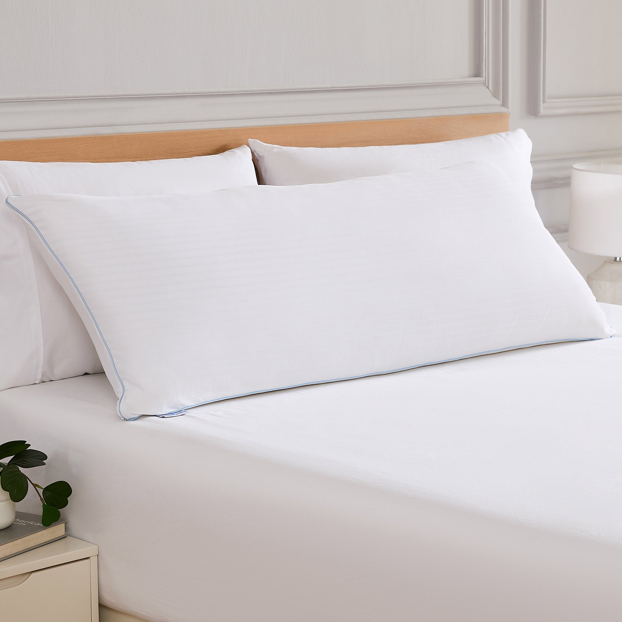The Ultimate Freeze Body Pillow by SleepCare