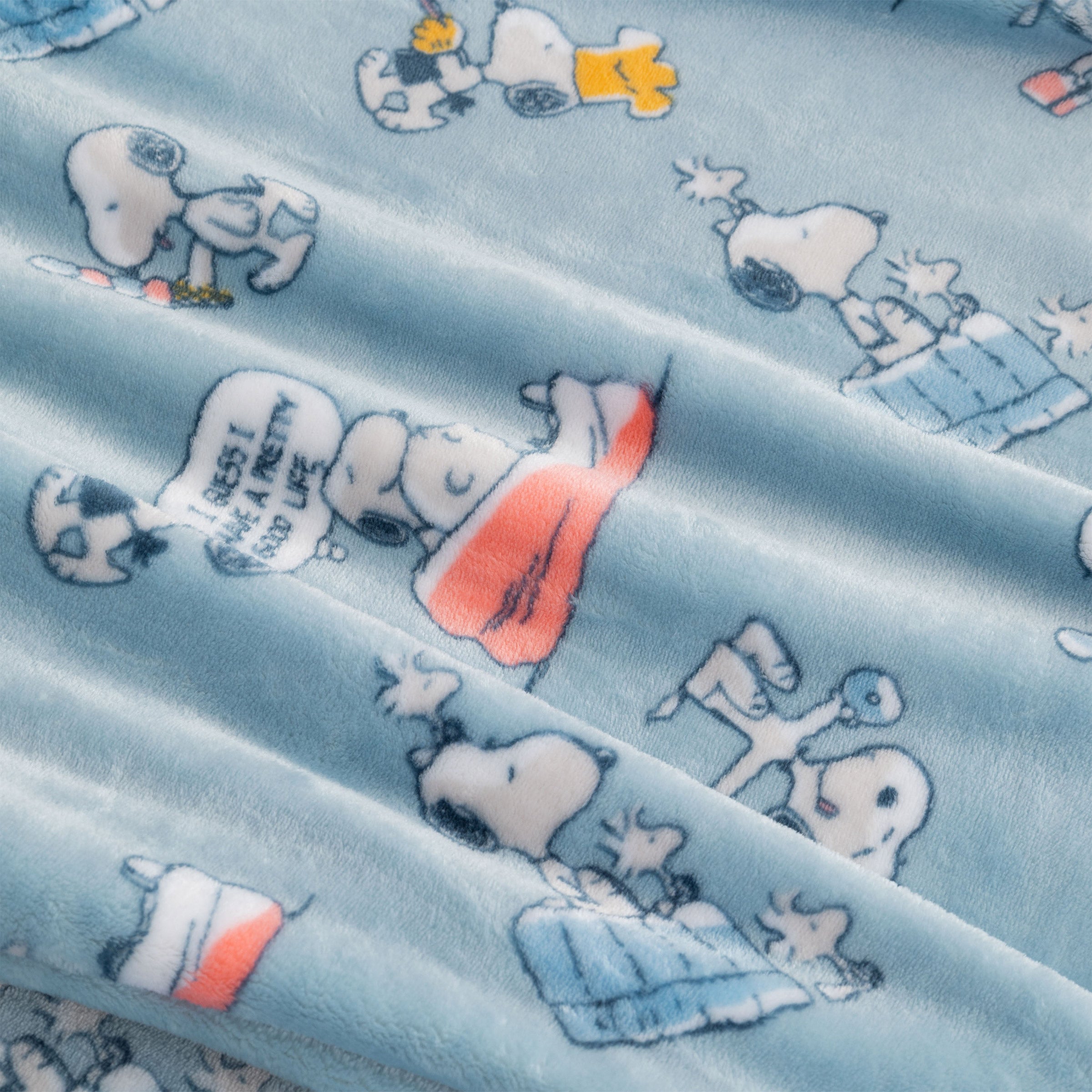 Peanuts Printed VelvetLoft Throw, 2-pack