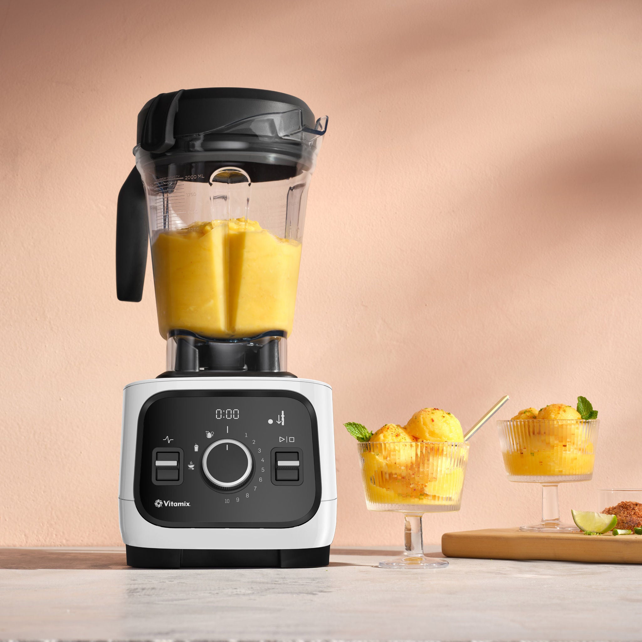 Vitamix Alta Pro Blender