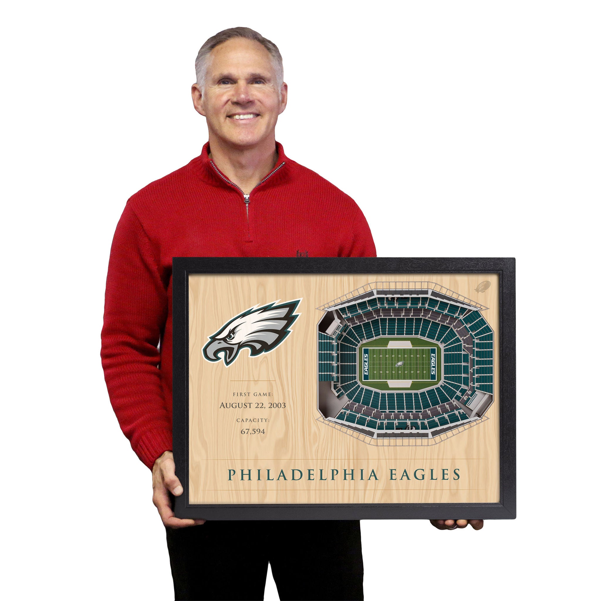 NFL 25-layer Stadium View Wall Art