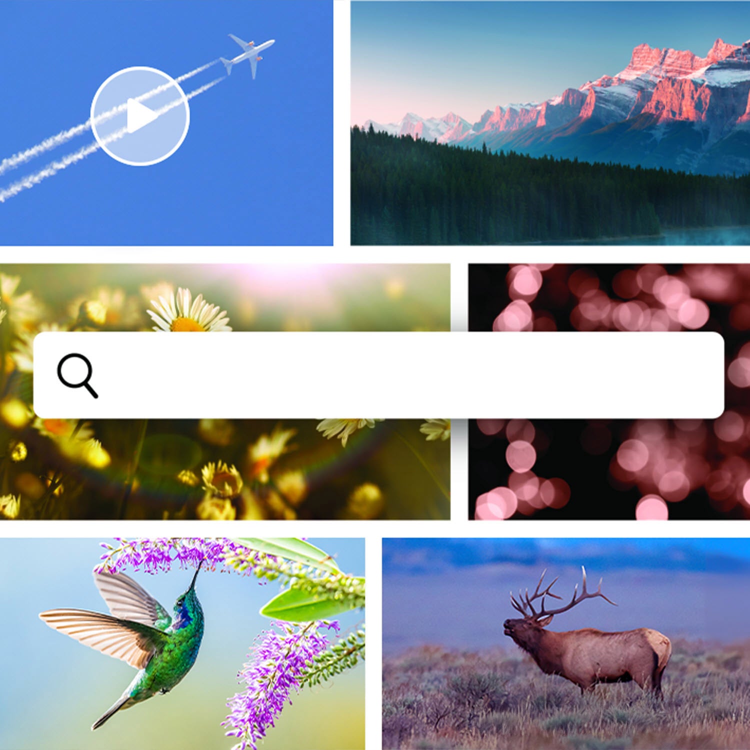 Adobe Photoshop Elements and Premiere Elements Software - Mac OS, Windows (E-delivery)