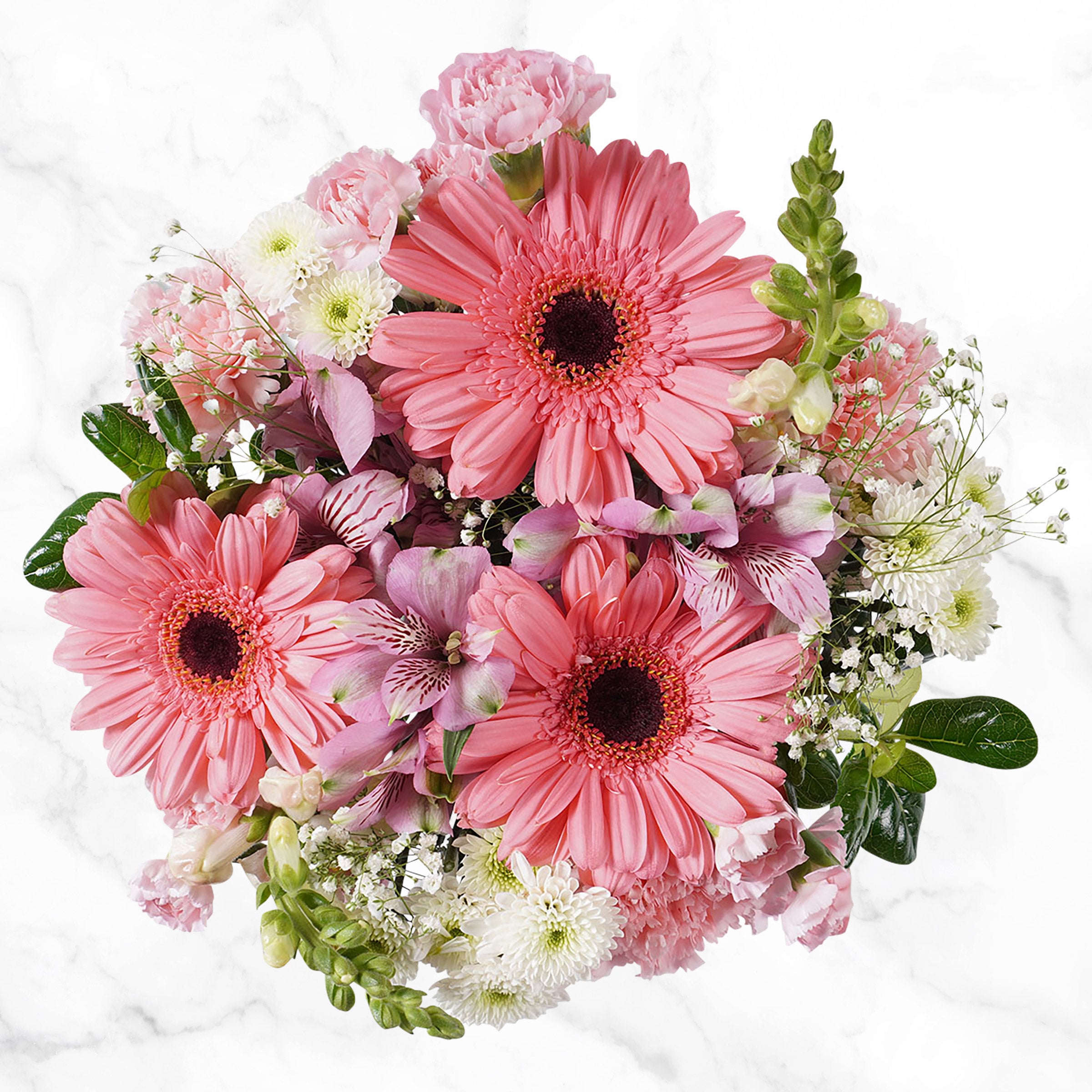 Mountain Bouquet Event Collection, 10-count