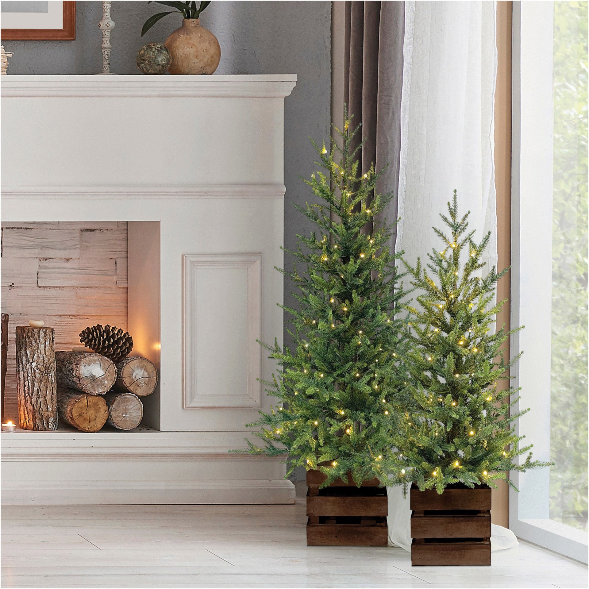 Boxed Pine Trees with Twinkle Lights, Set of 2