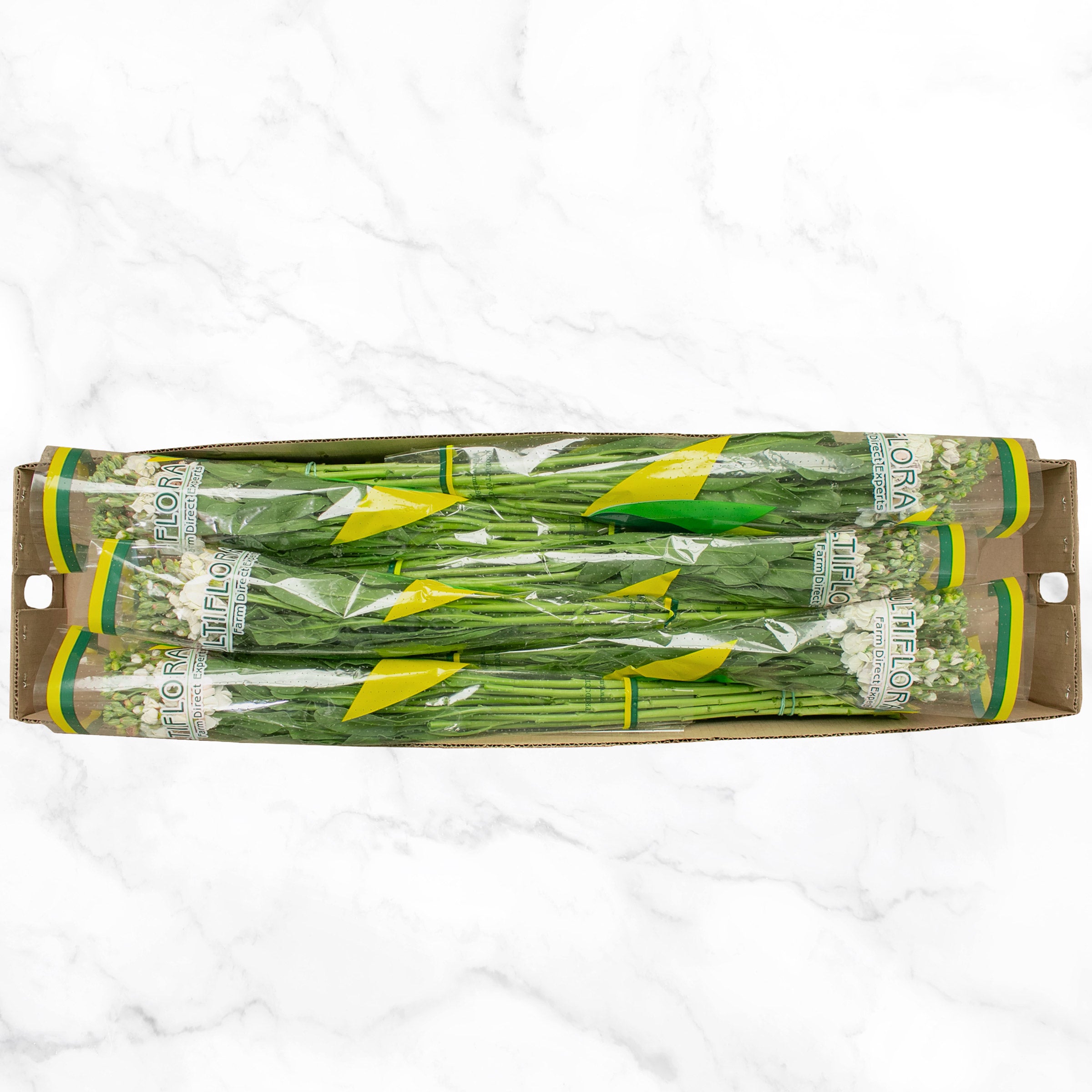 Bulk Flowers Stock, 100-Stems