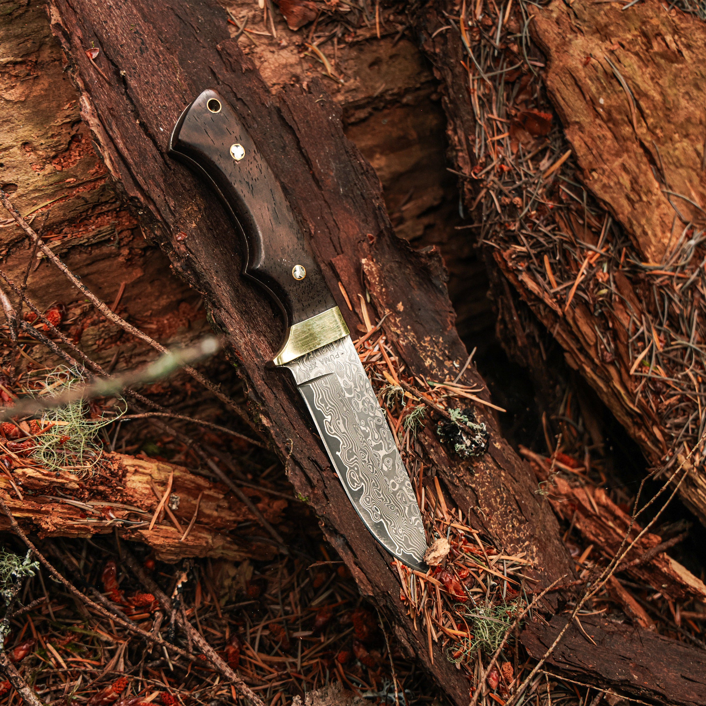 Puma XP Blacktail Damascus Knife