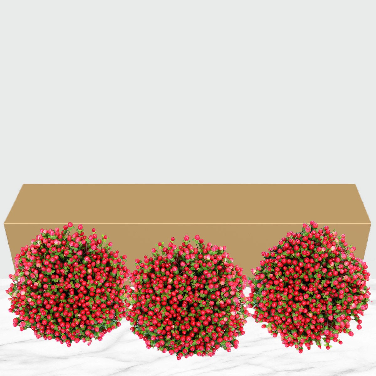 120-stem Hypericum