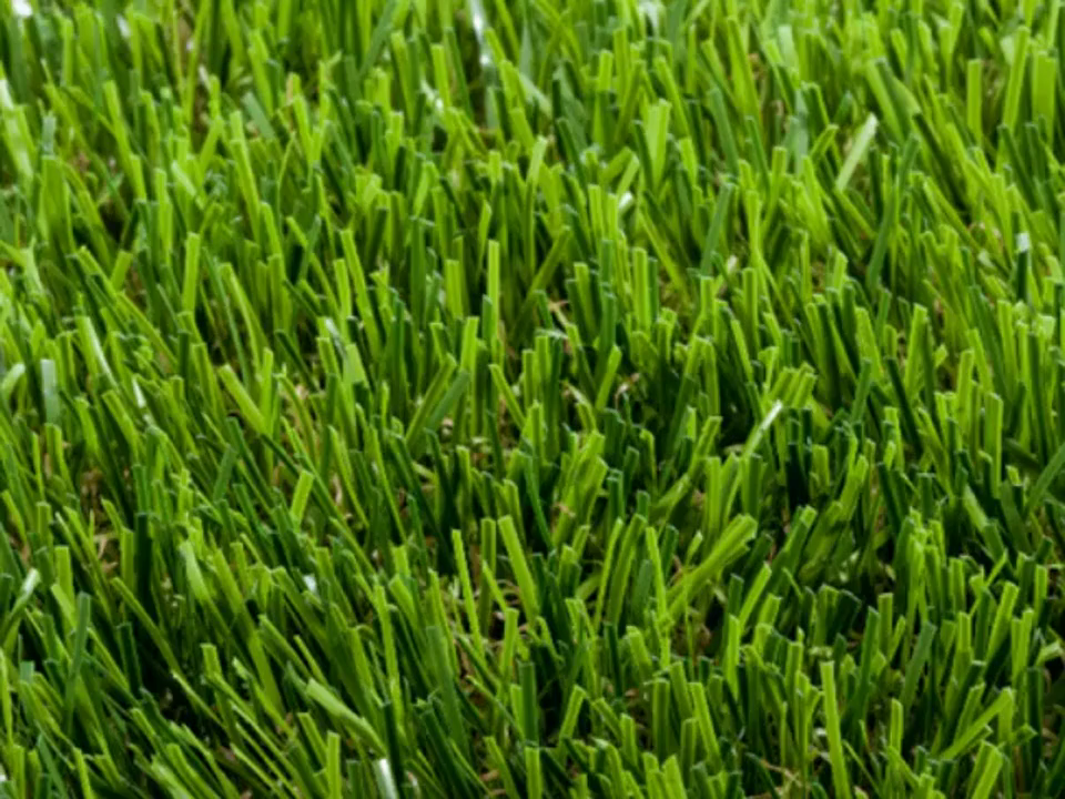 PreGra 48 oz Artificial Pet Turf
