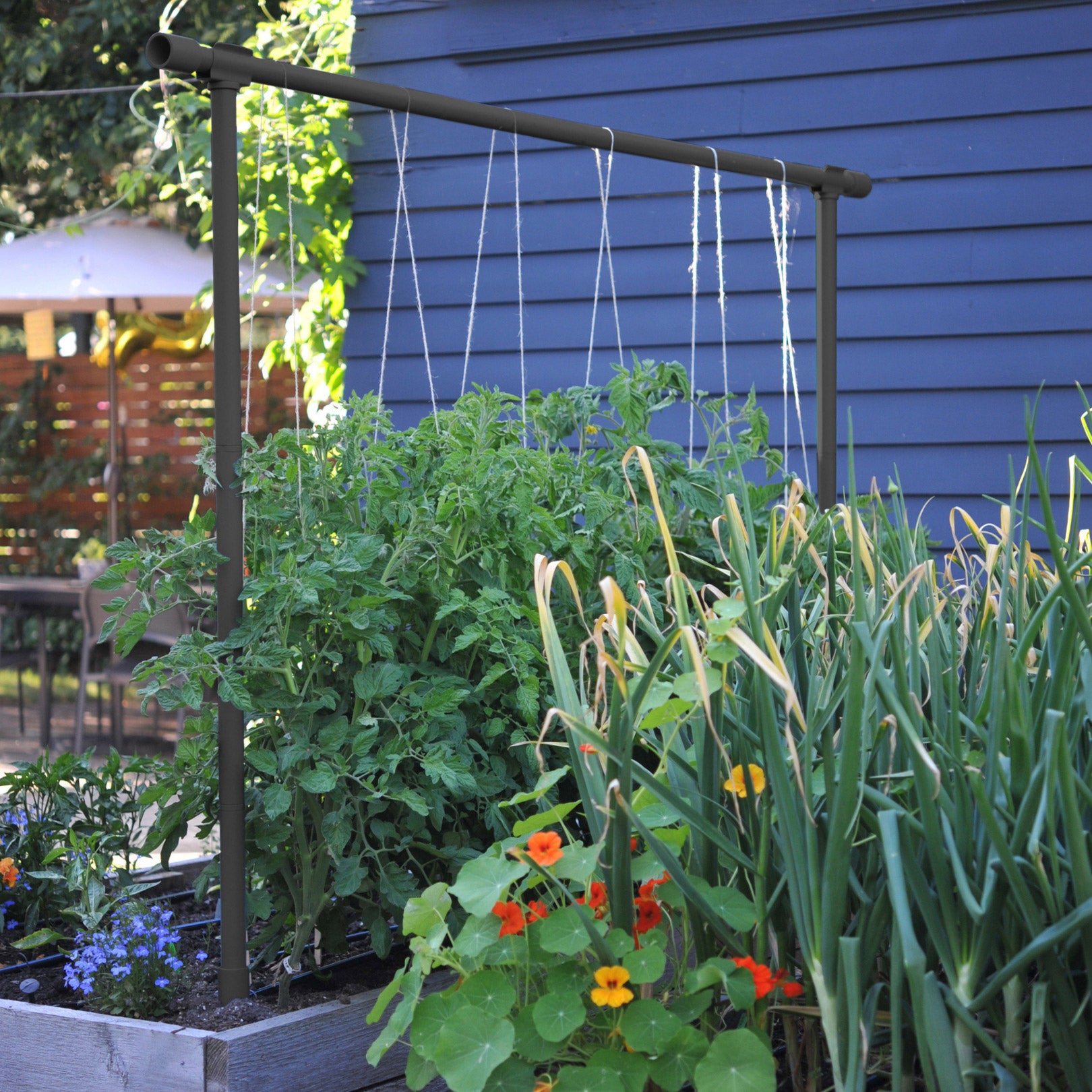 Freyr Garden Trellis Kit