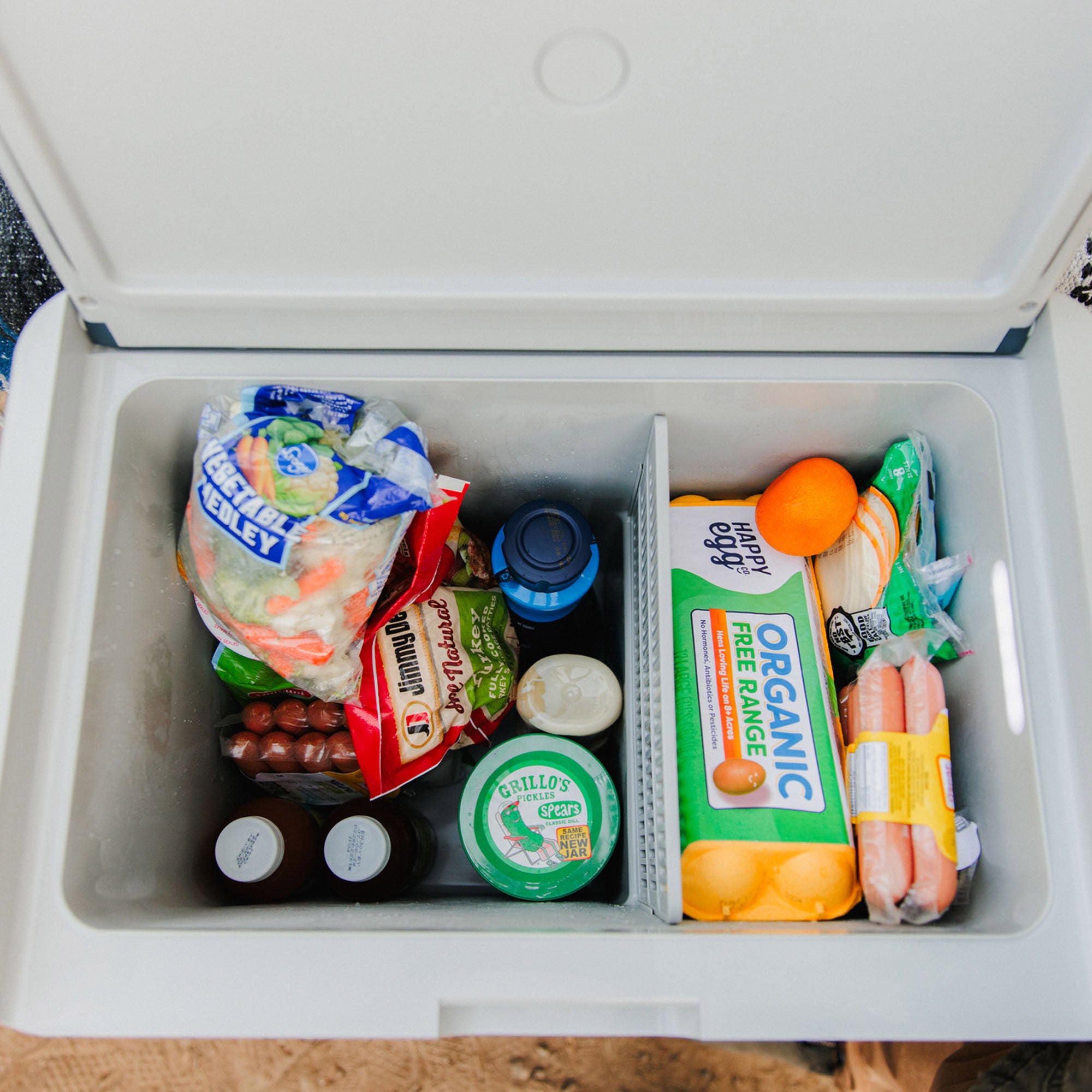 Igloo ICF40 Electric Cooler with Protective Cover