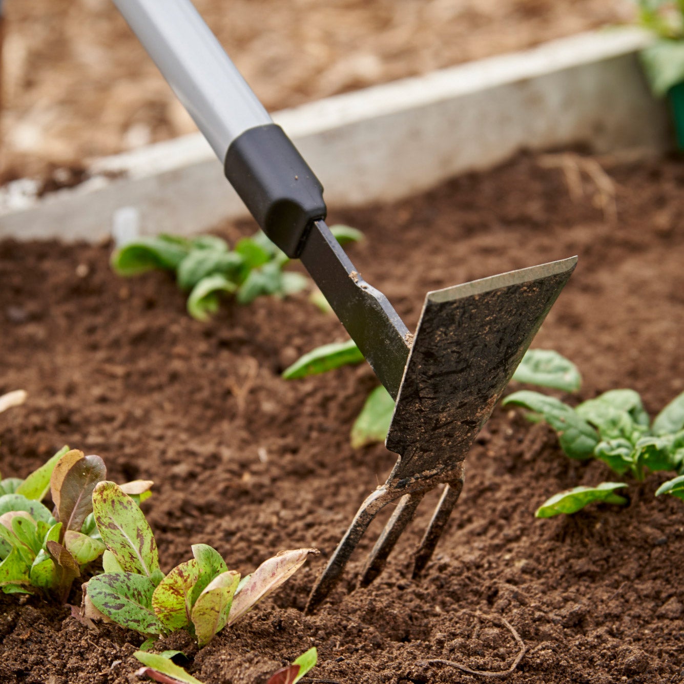 Garden Box Set 7-Piece