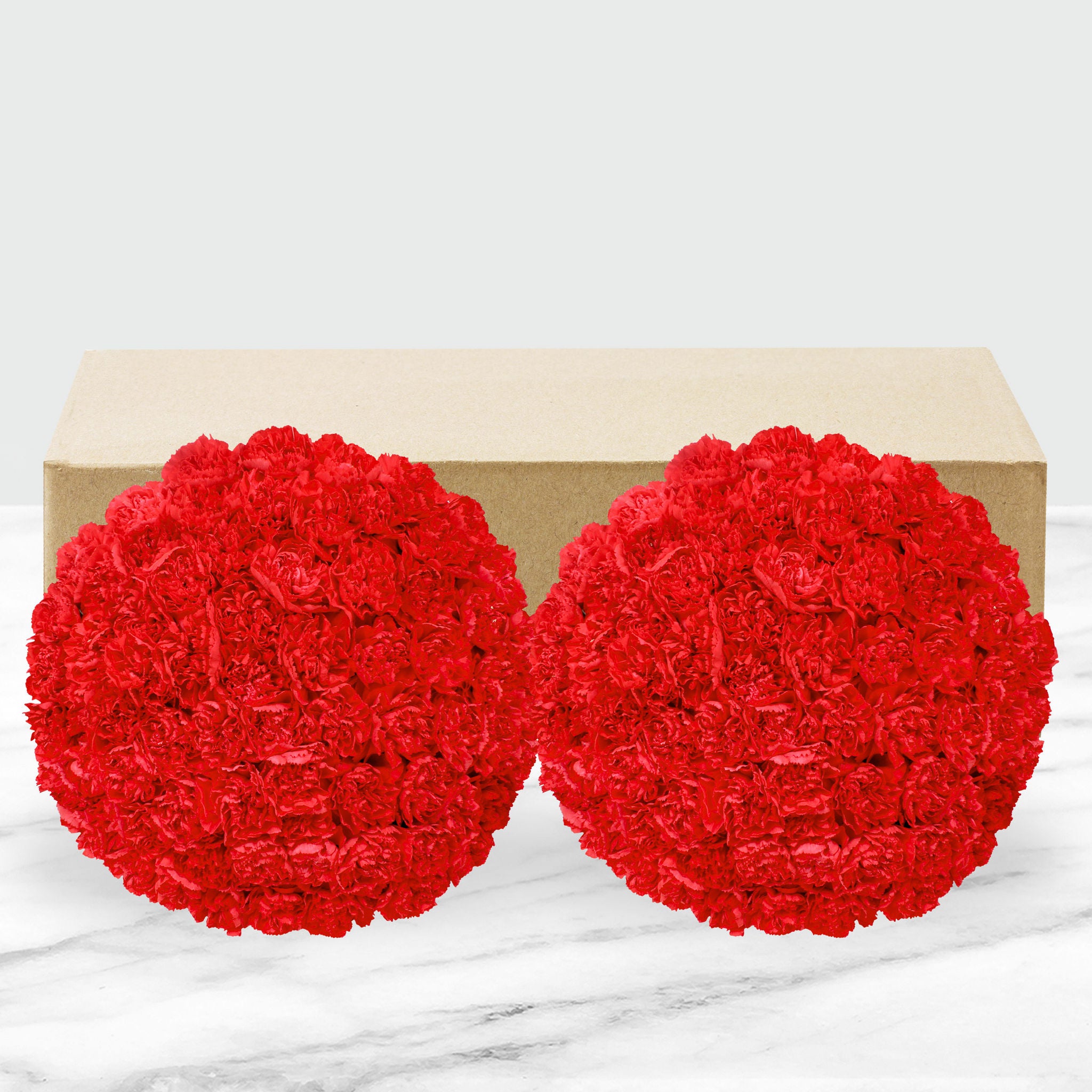 100-stem Carnations