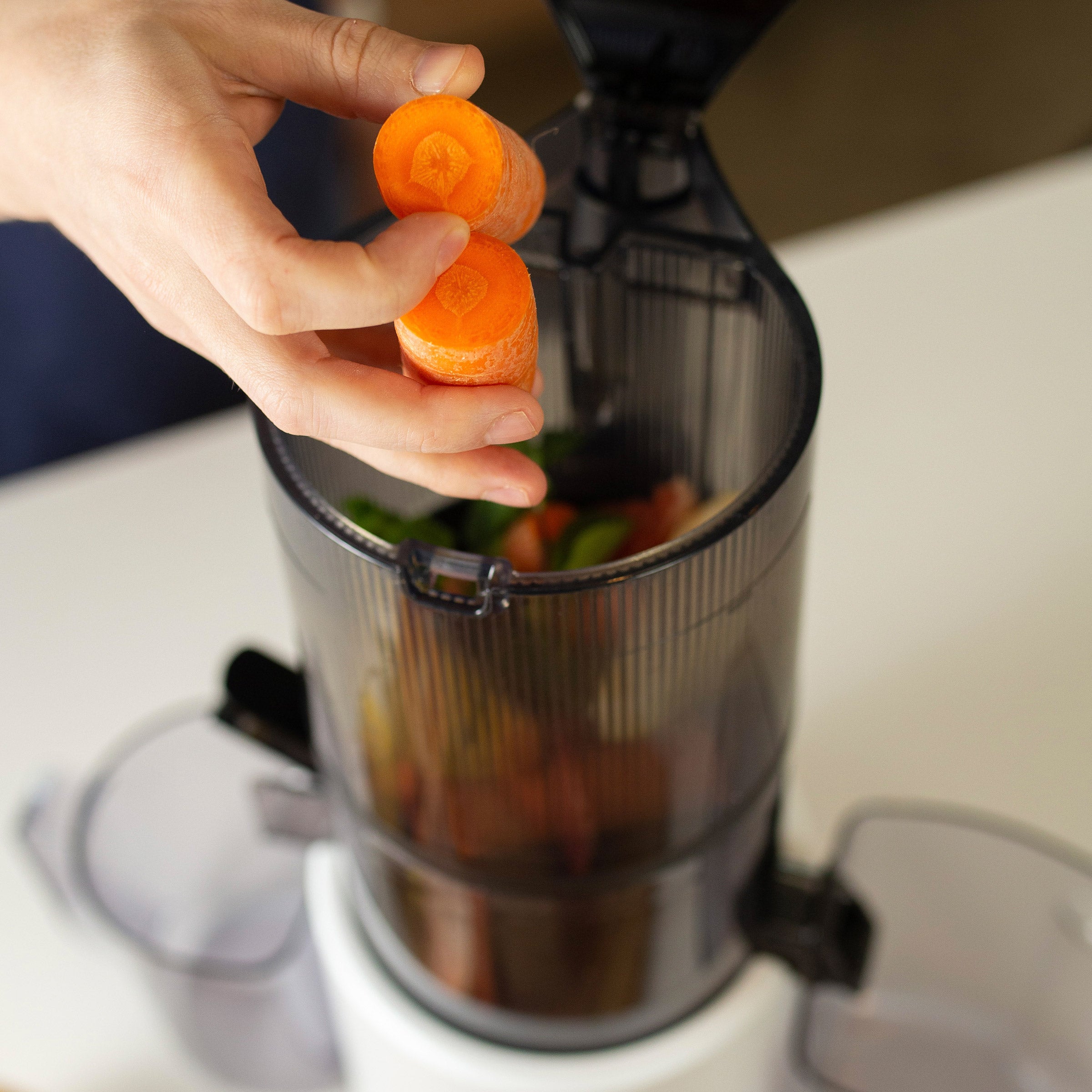 Omega Effortless Batch Juicer