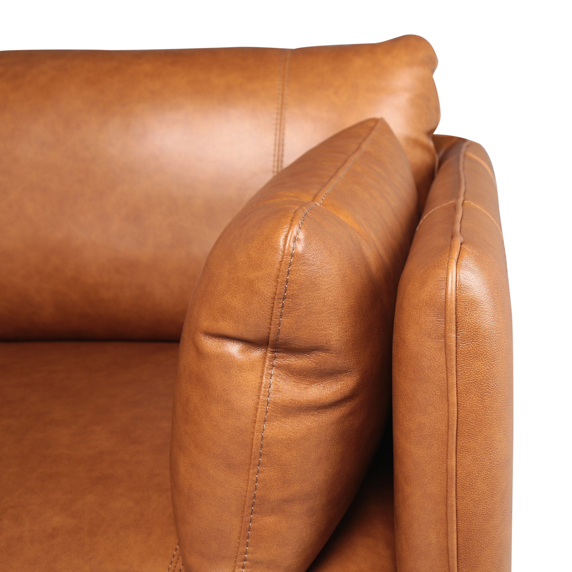 Simone Top Grain Leather Sectional