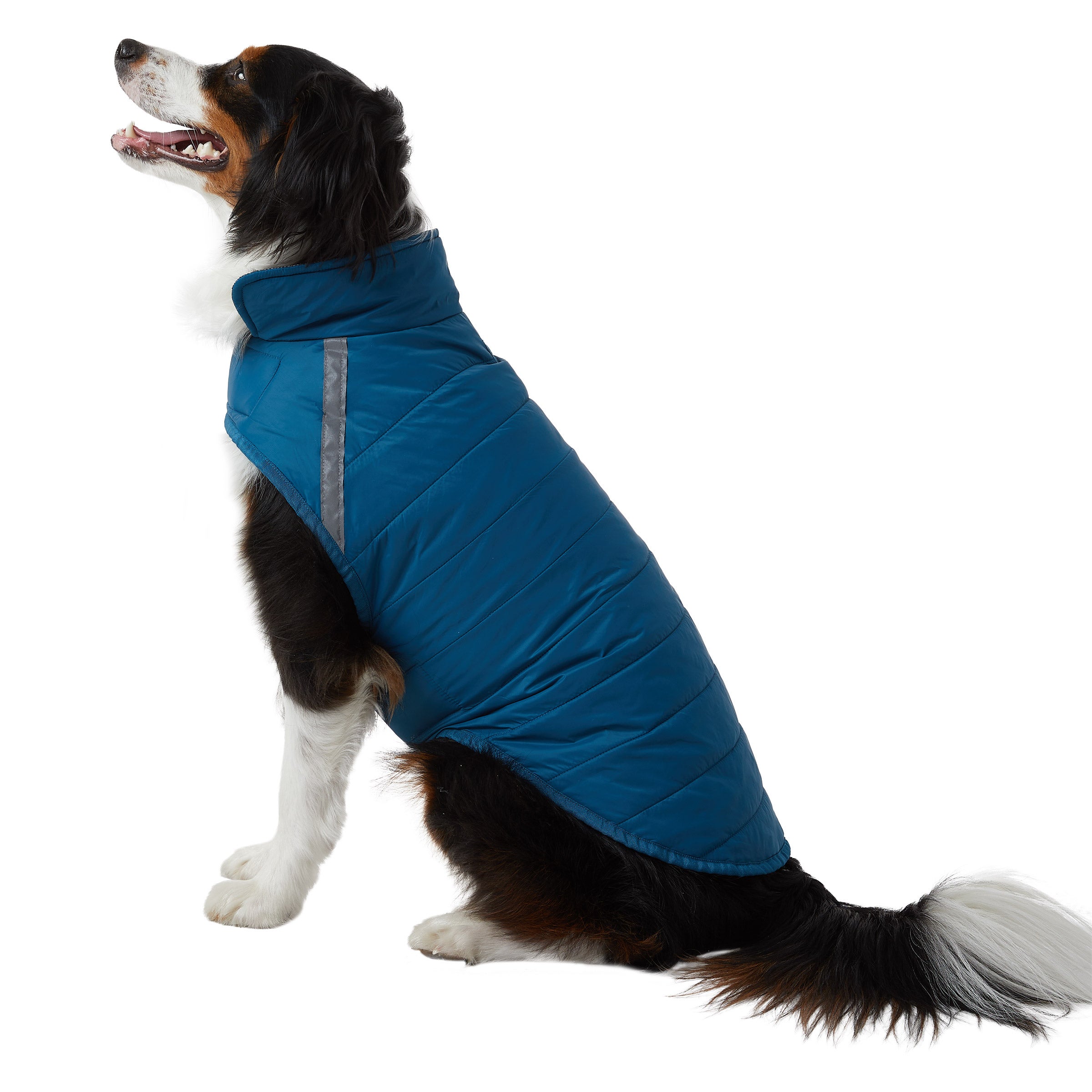 32 Degrees Dog Jacket