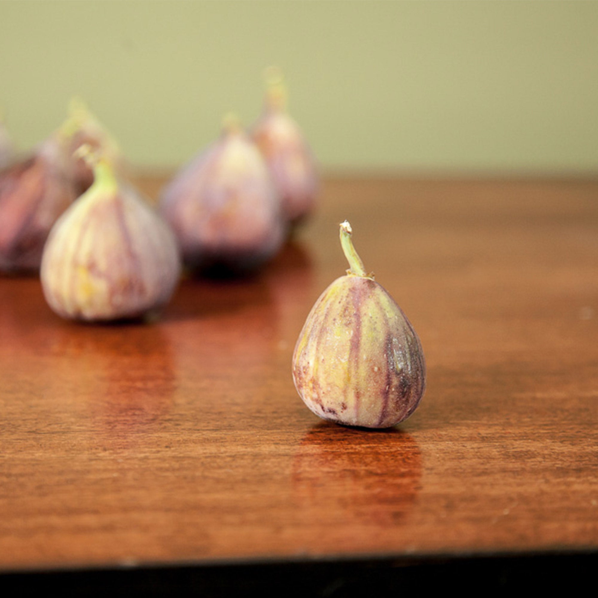 Brown Turkey Fig 2-pack 3 Gallon