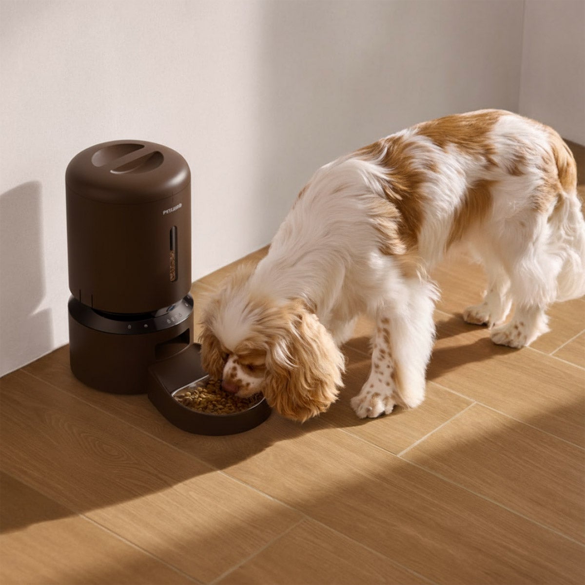 Petlibro Automatic Camera Feeder with 12-pack Desiccant Bags Bundle