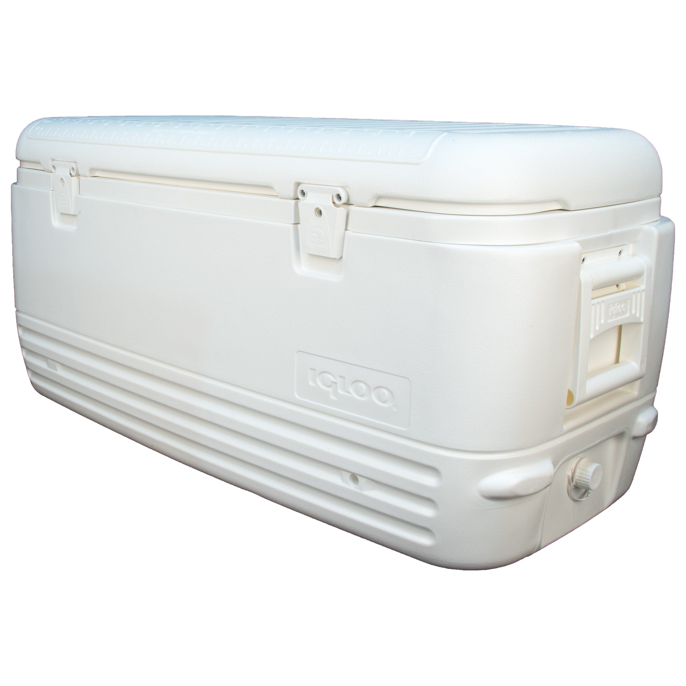 Igloo Polar 120-quart Cooler