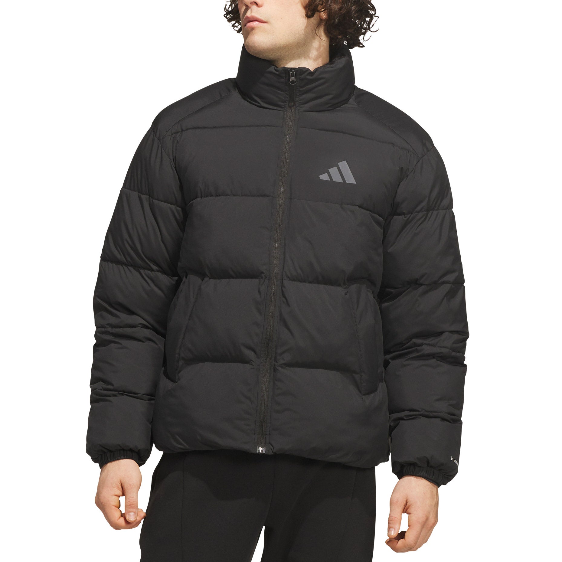 adidas Men's Terrex Puffer Jacket