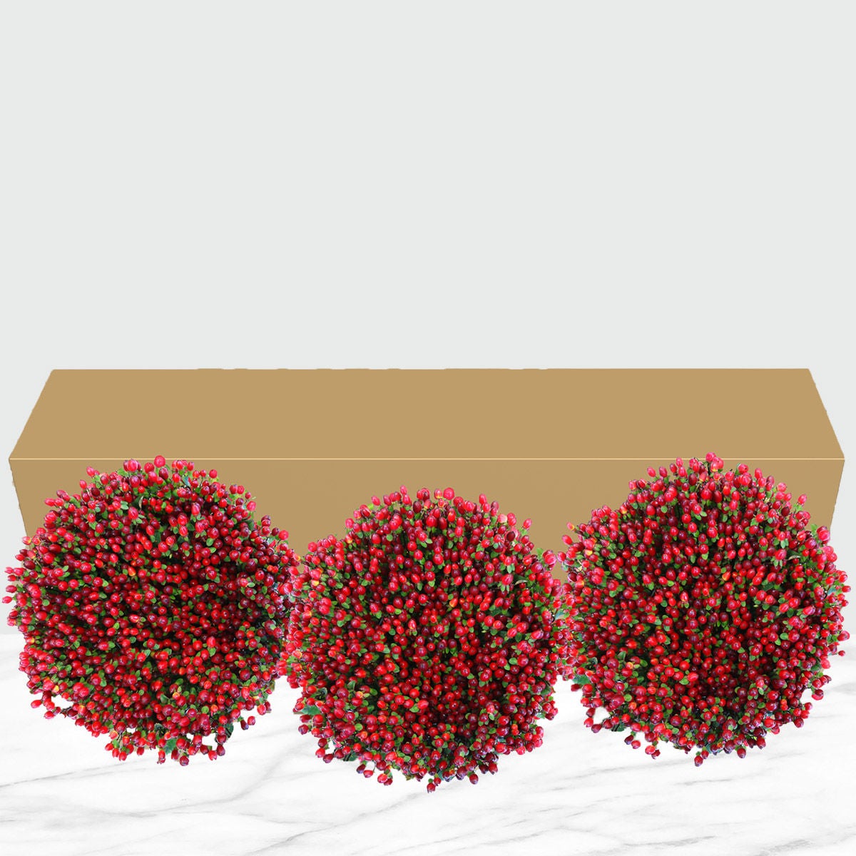 120-stem Hypericum