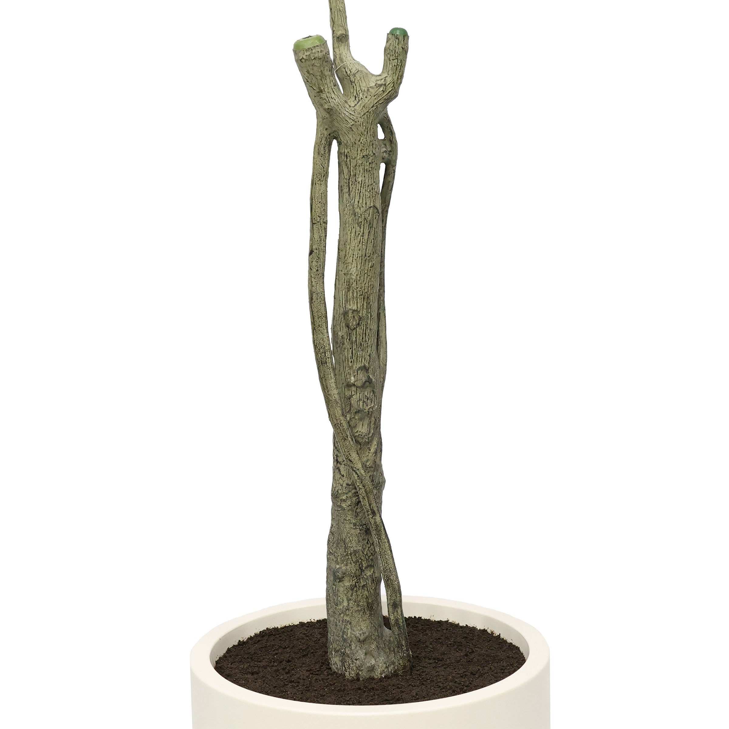 Faux 6.5' Ficus Tree