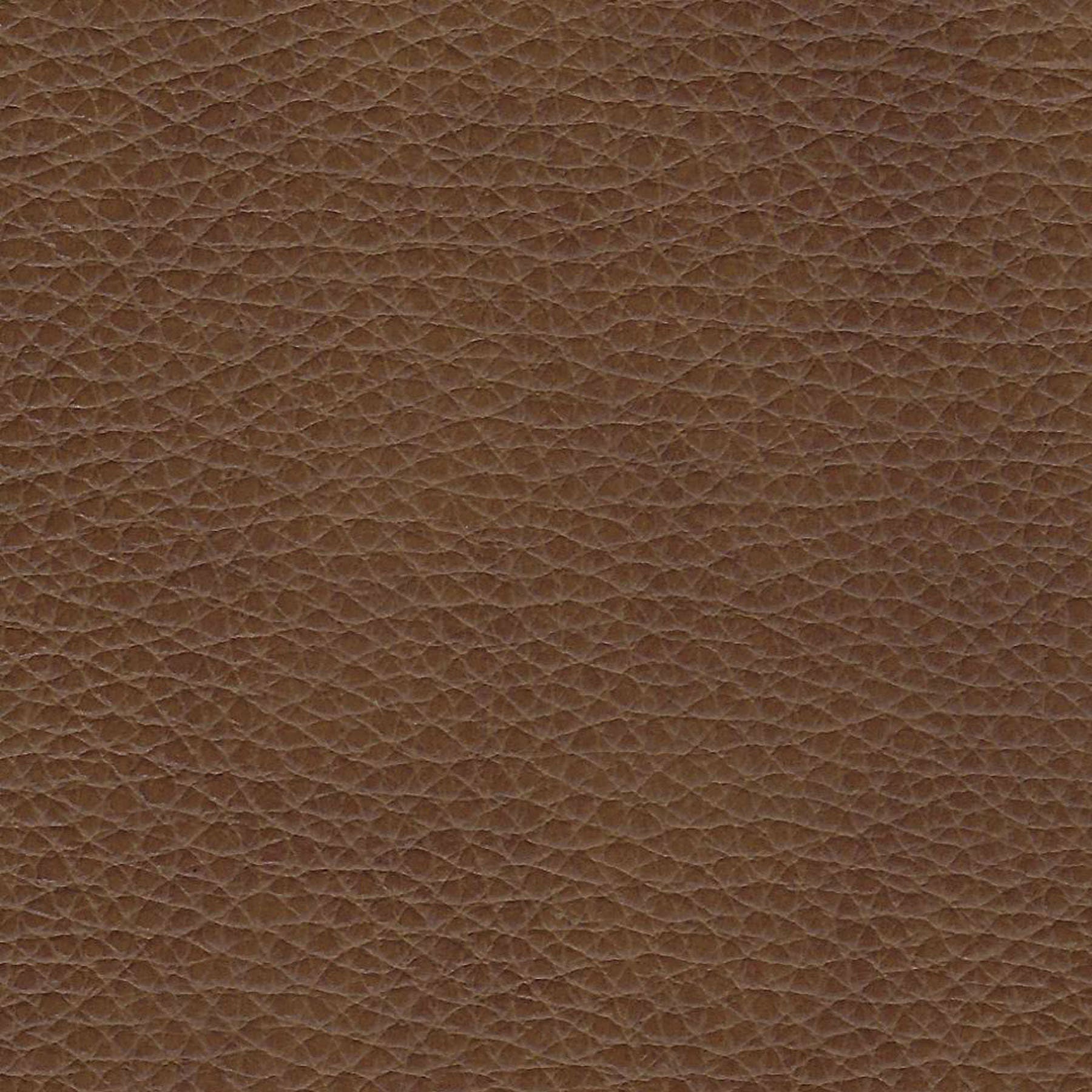 Gianna Top Grain Leather Sofa