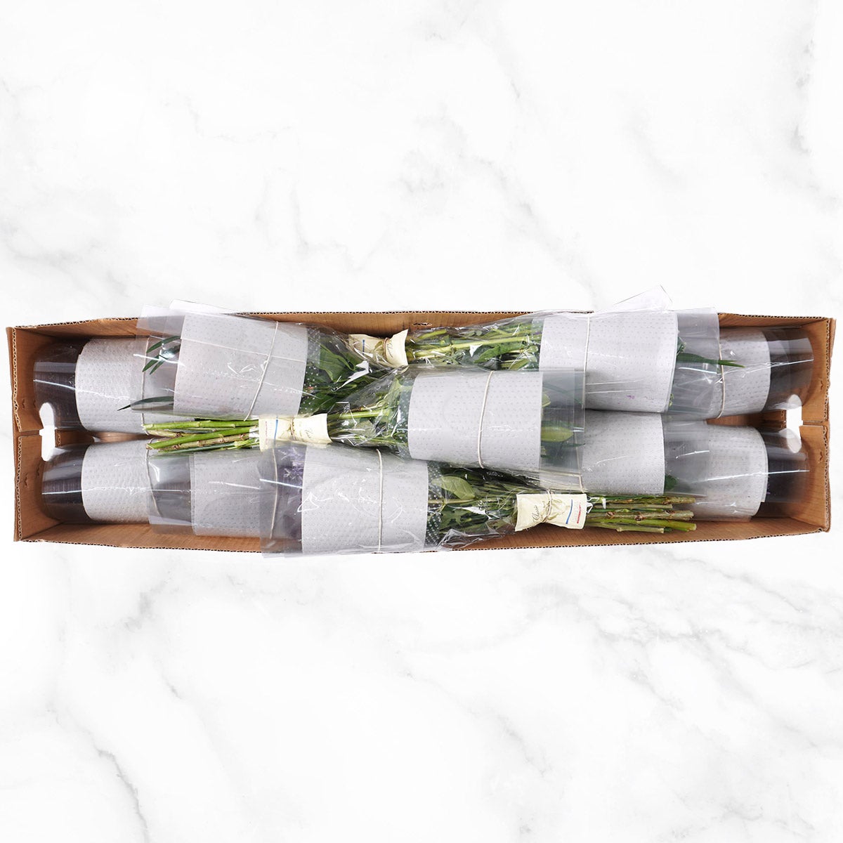 Mountain Bouquet Event Collection, 10-count