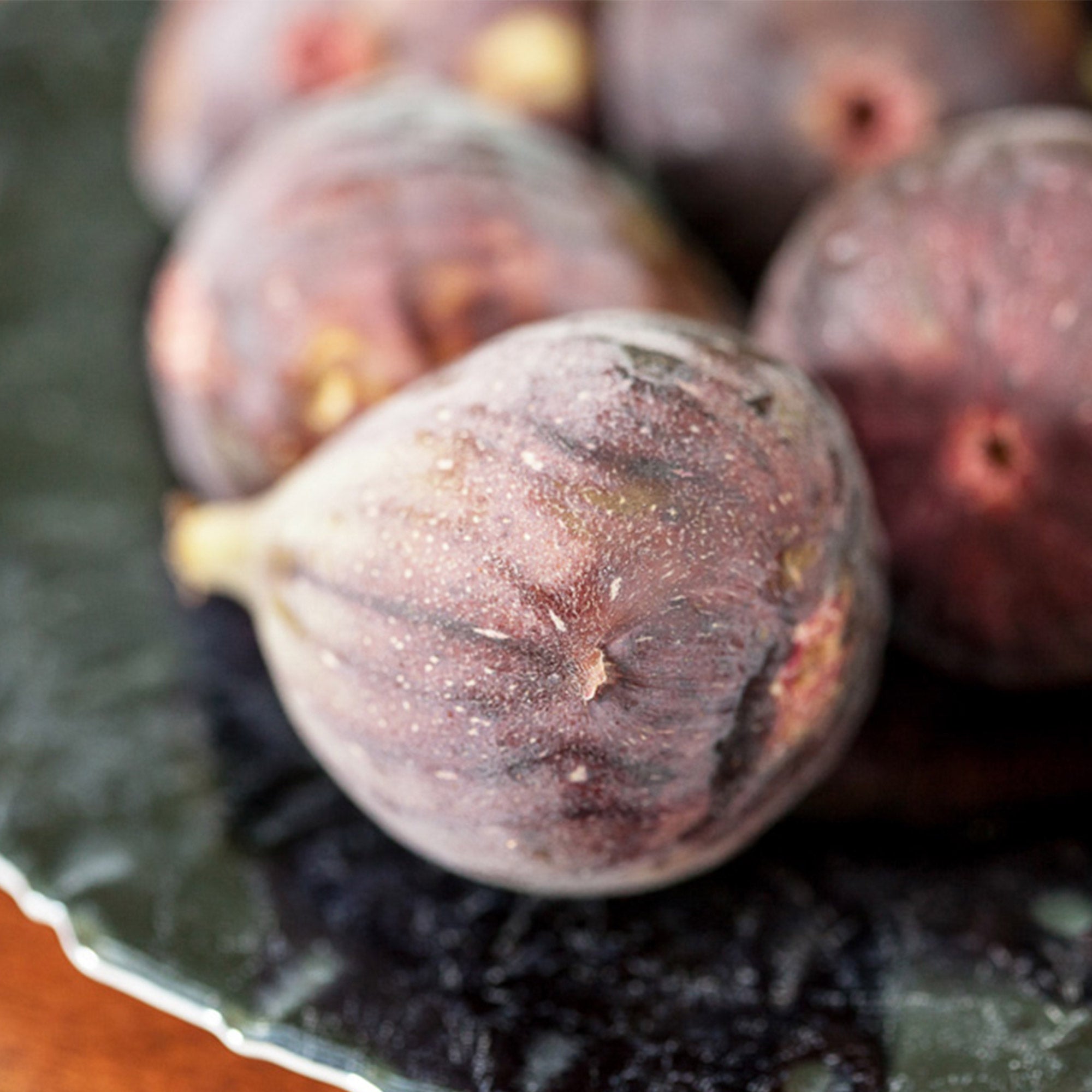 Brown Turkey Fig 2-pack 3 Gallon