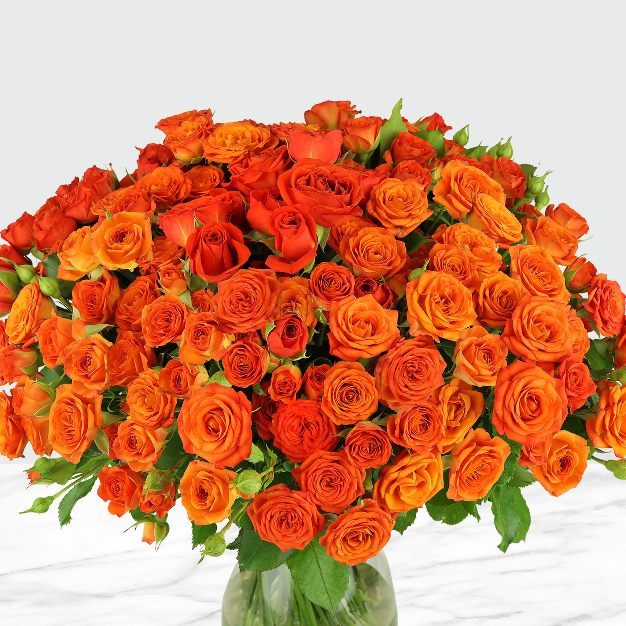 50-stem Spray Roses