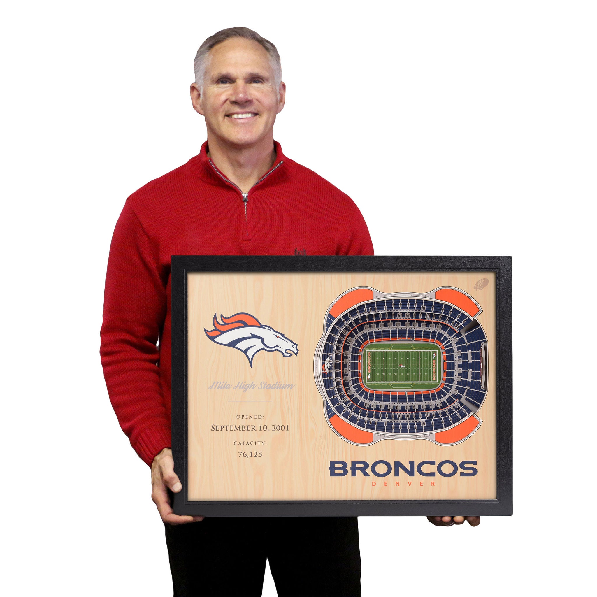 NFL 25-layer Stadium View Wall Art