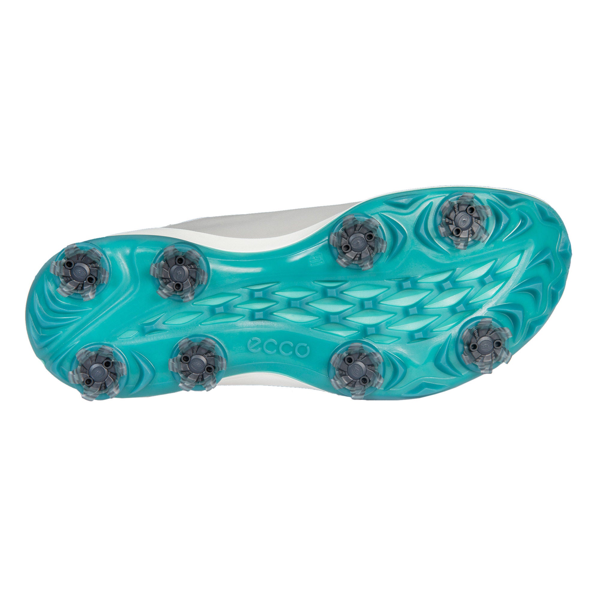 Ecco Men’s Golf Biom Shoes