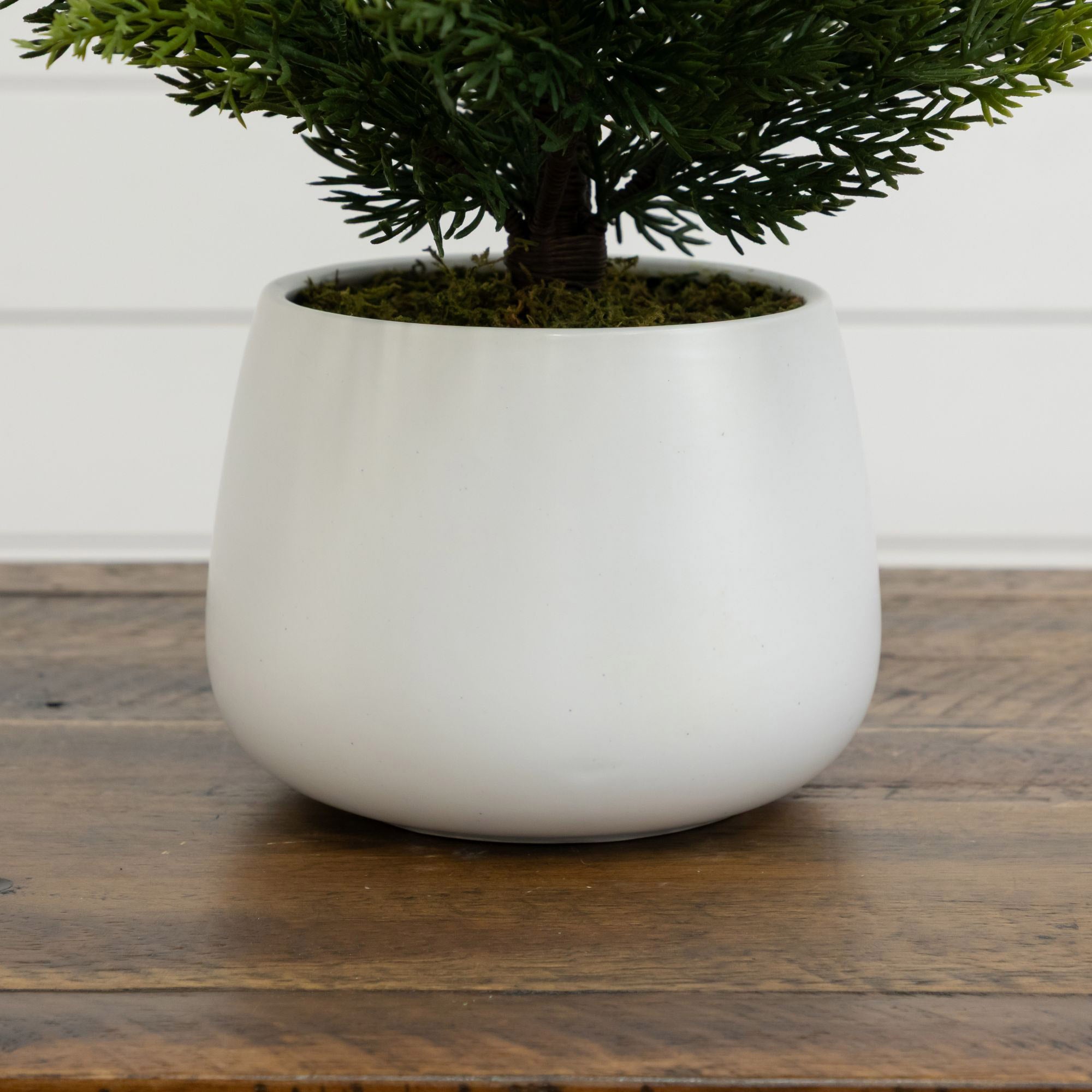 Faux 24” Tabletop Cedar Tree