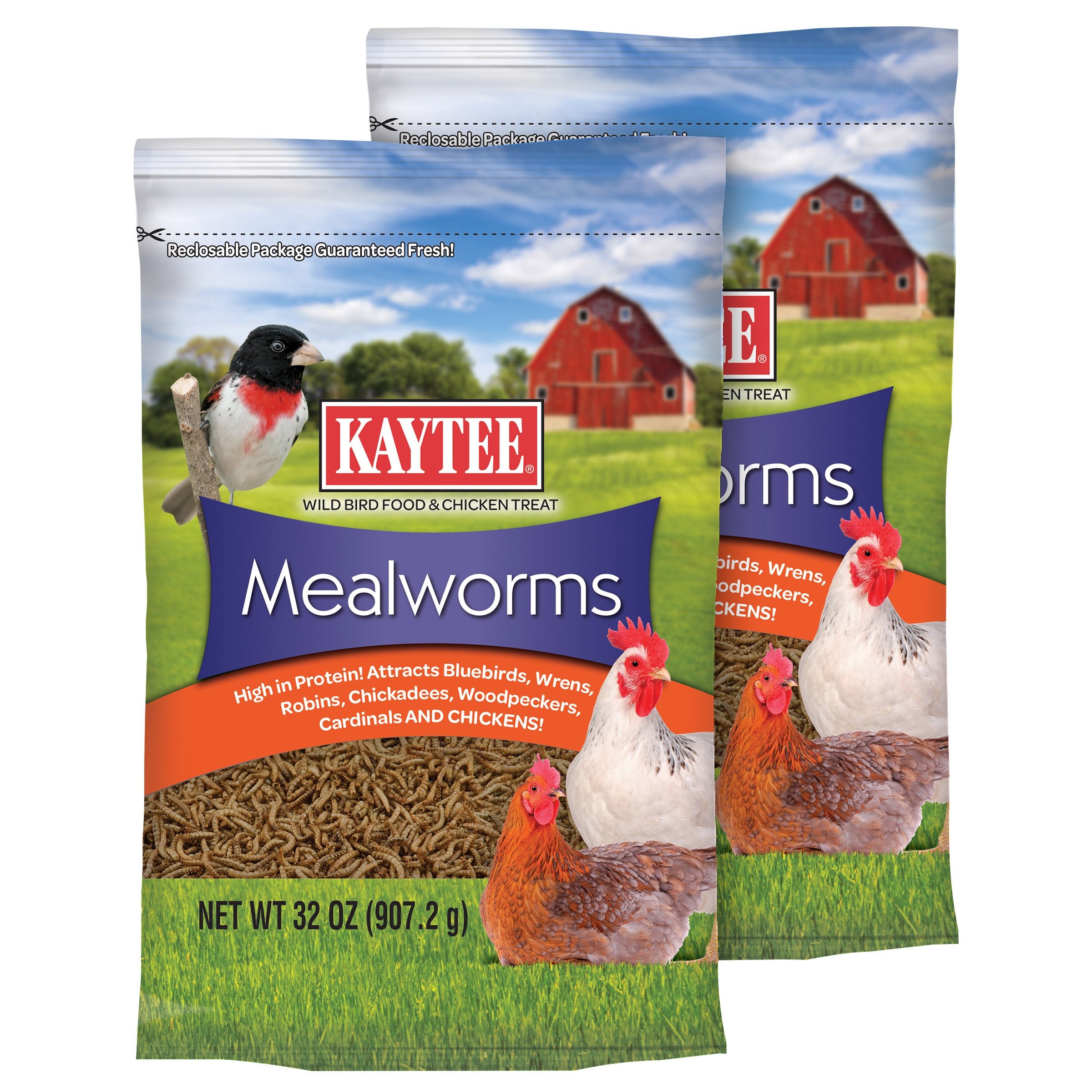 Kaytee Mealworms Wild Bird Food and Chicken Treat, 32 Ounces, 2-pack