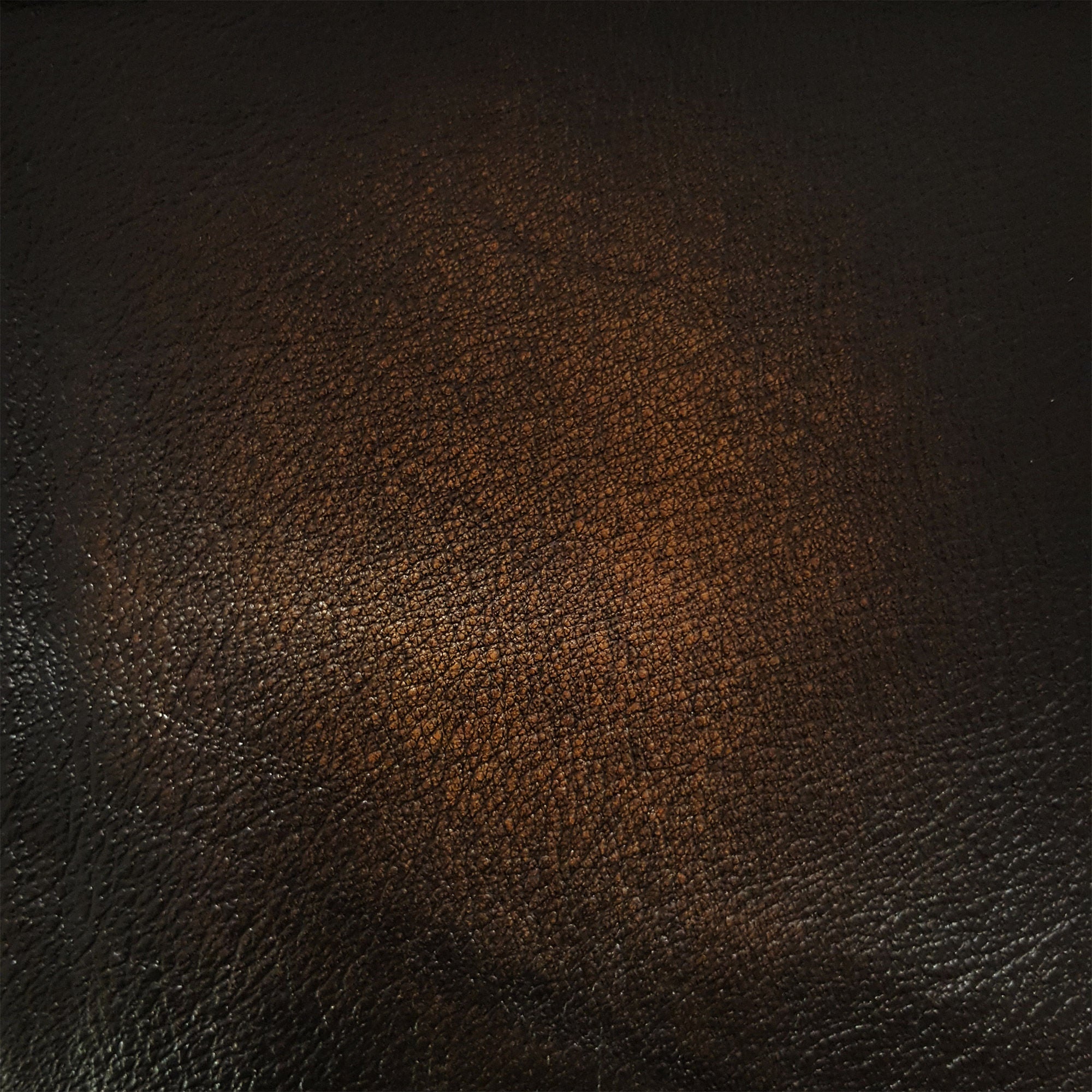 Casey Leather Sectional