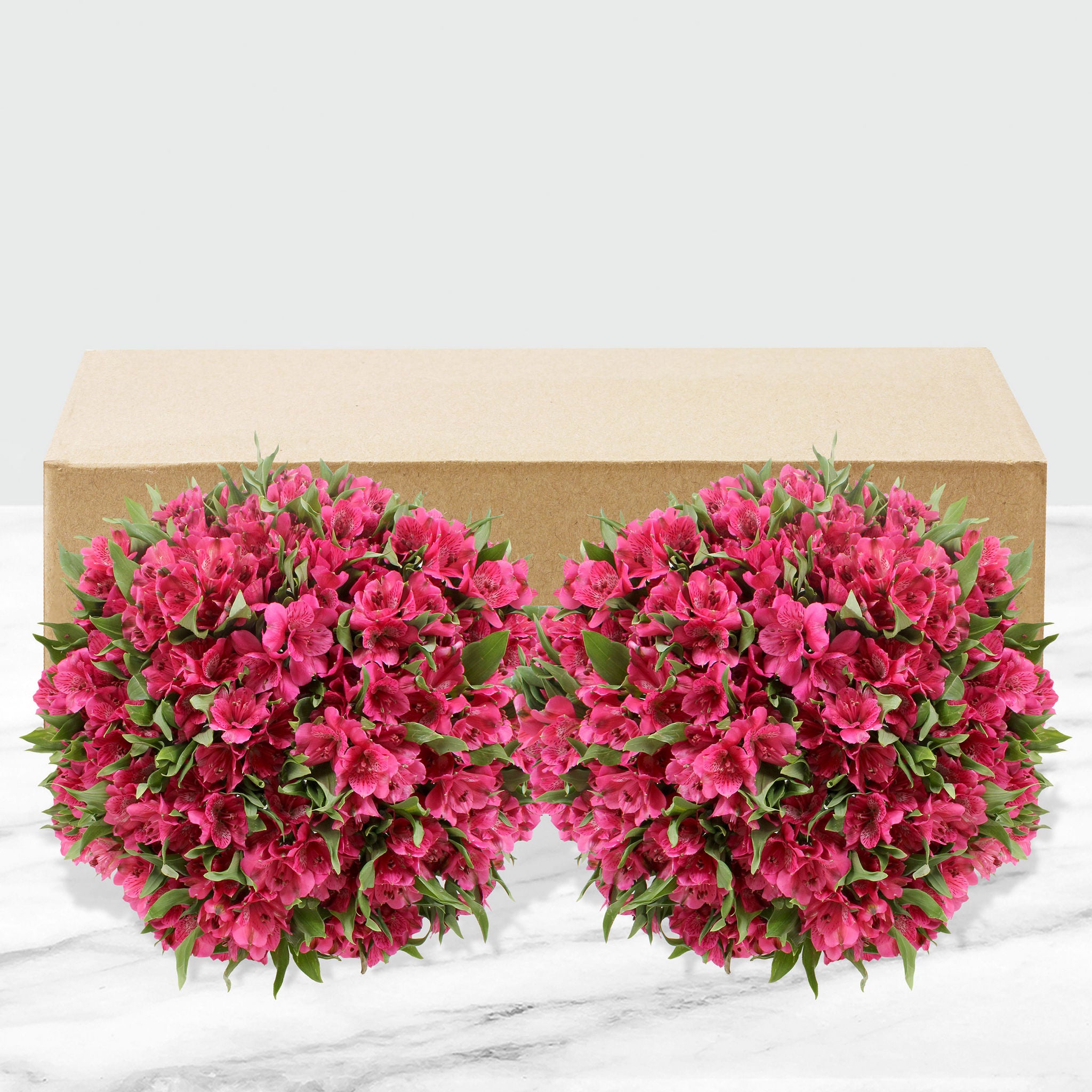 80-stem Alstroemeria