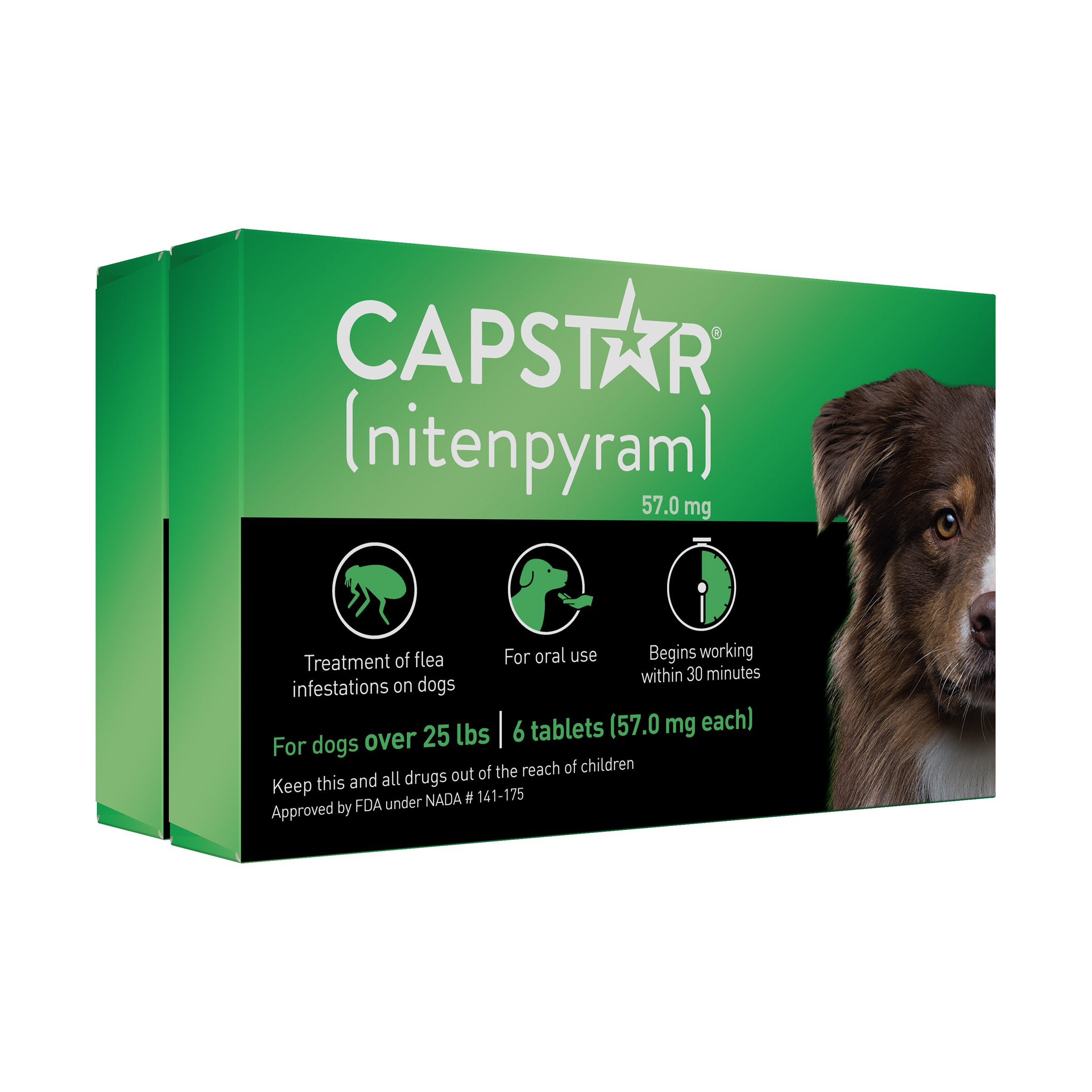 Capstar Oral Flea Tablets for Dogs Over 25 lbs, 6-count Tablets, 2-pack