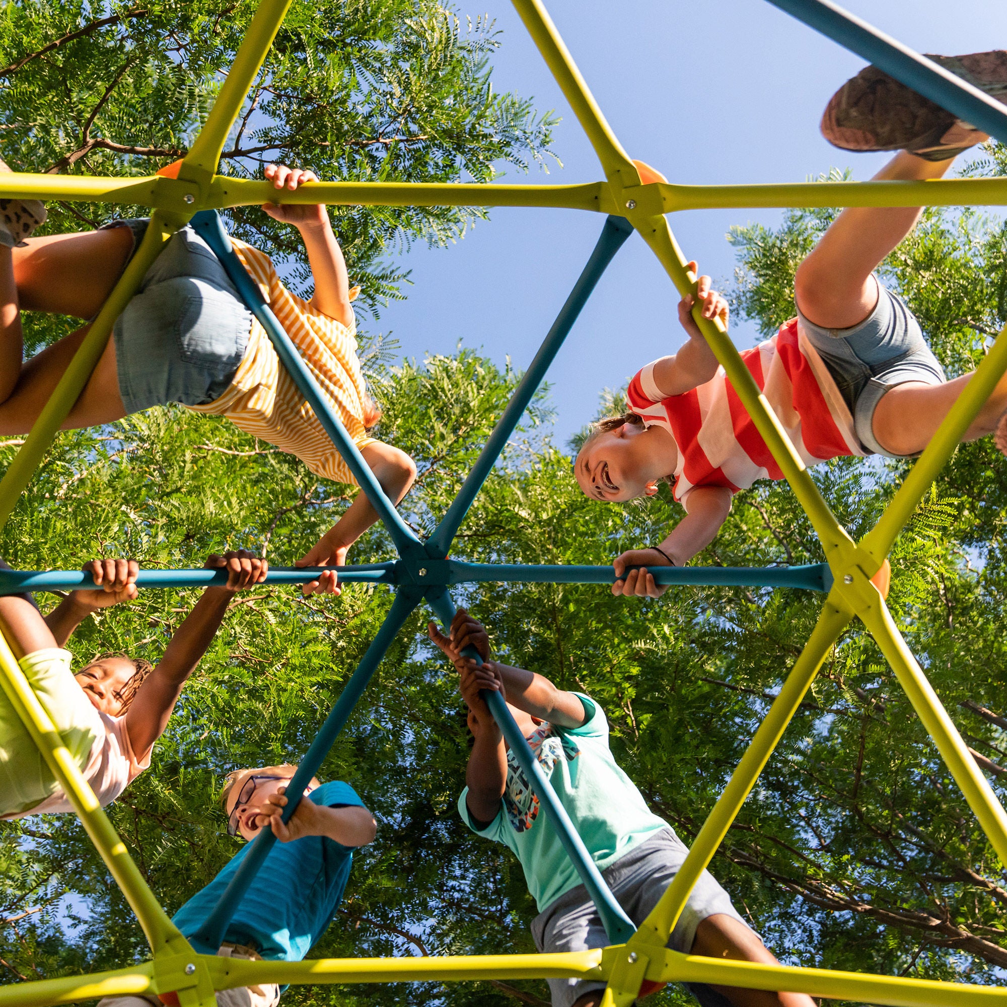 Lifetime Climbing Tower