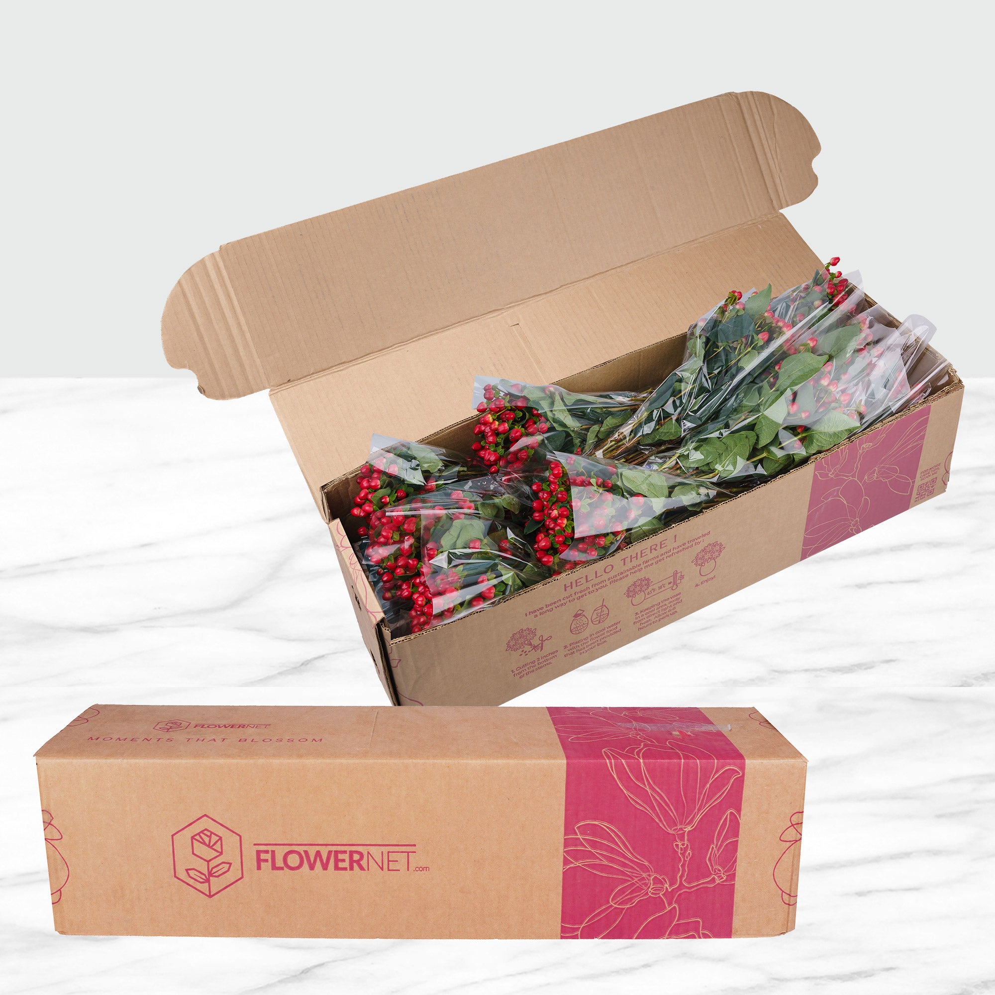 100-stems Hypericum