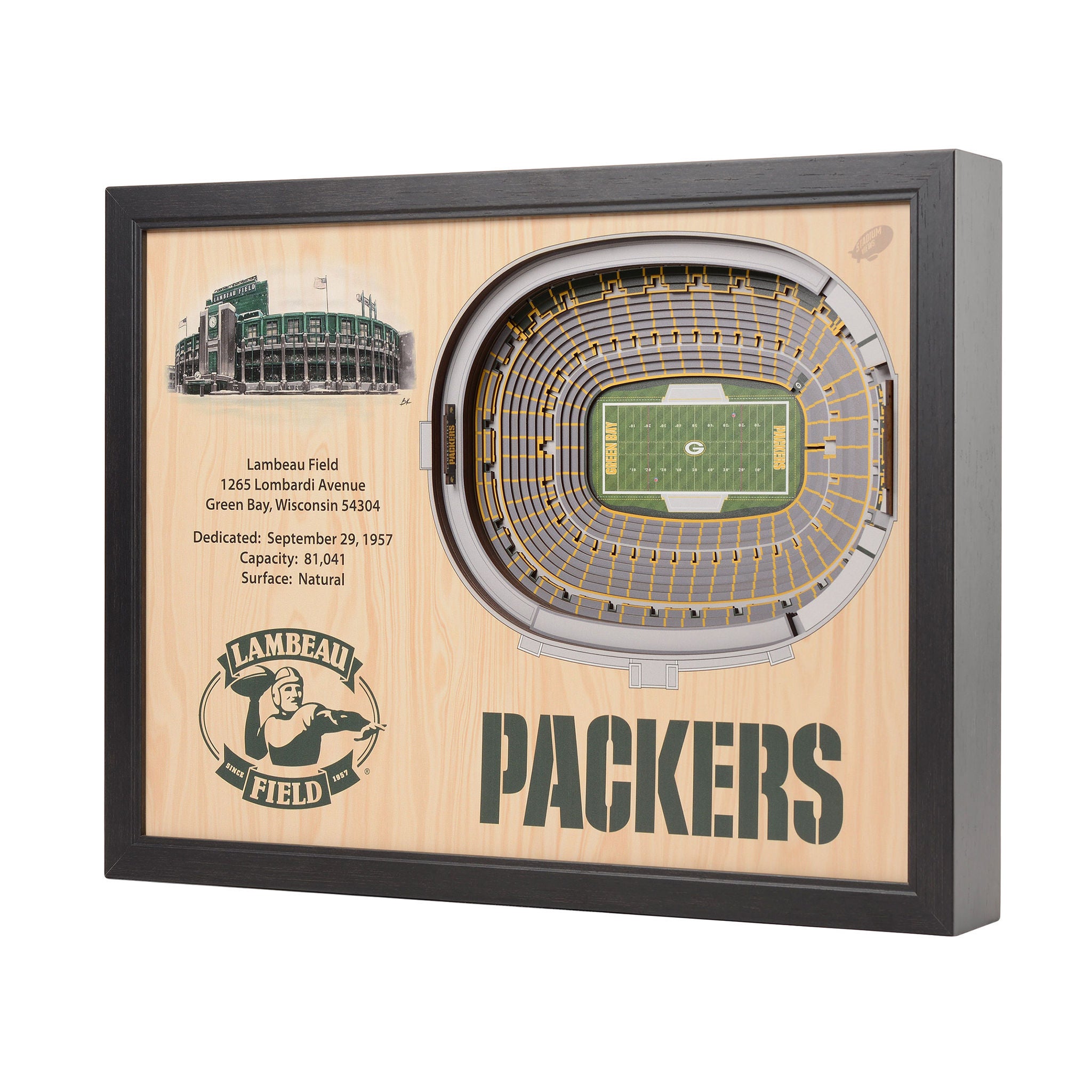 NFL 25-layer Stadium View Wall Art