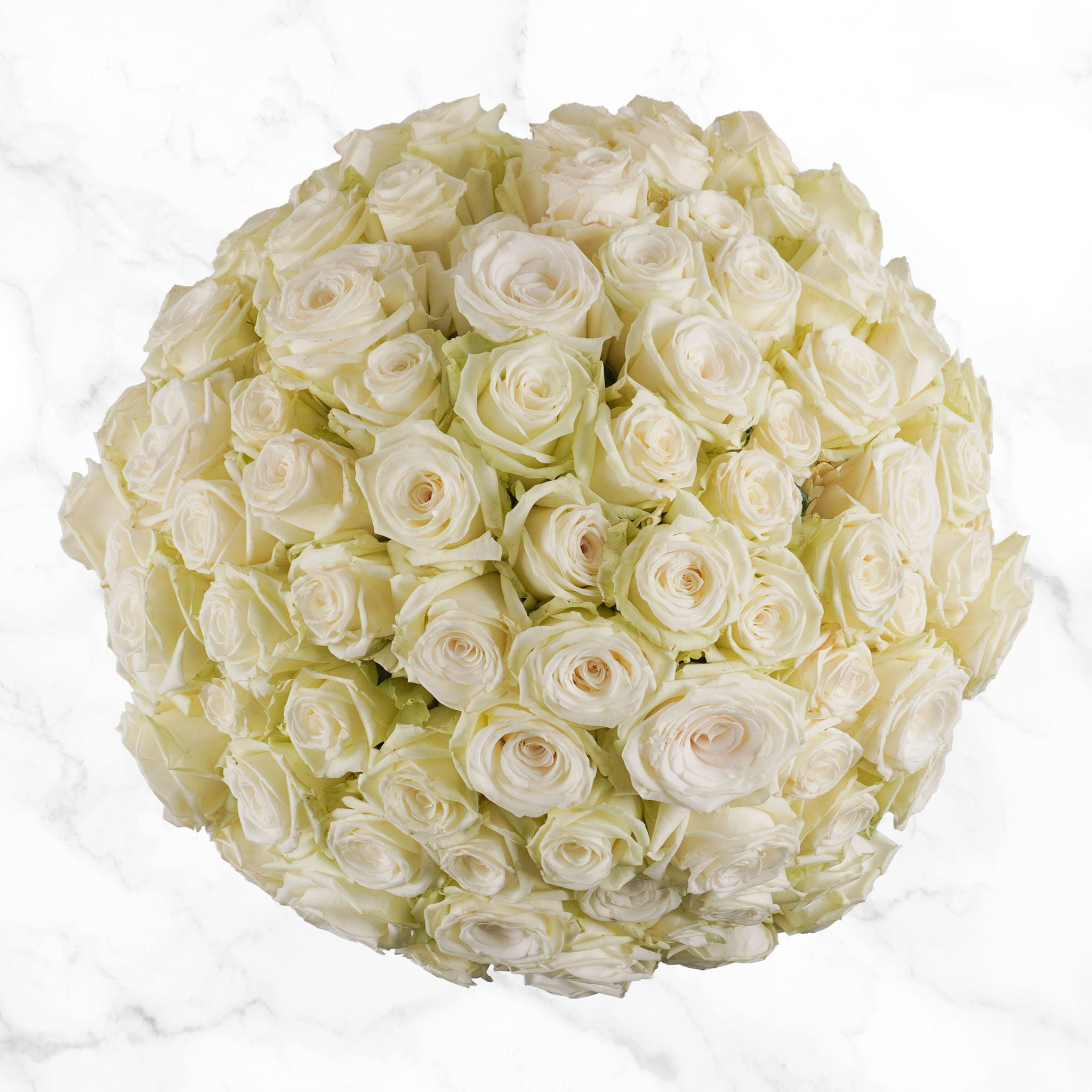 100-Stem Roses